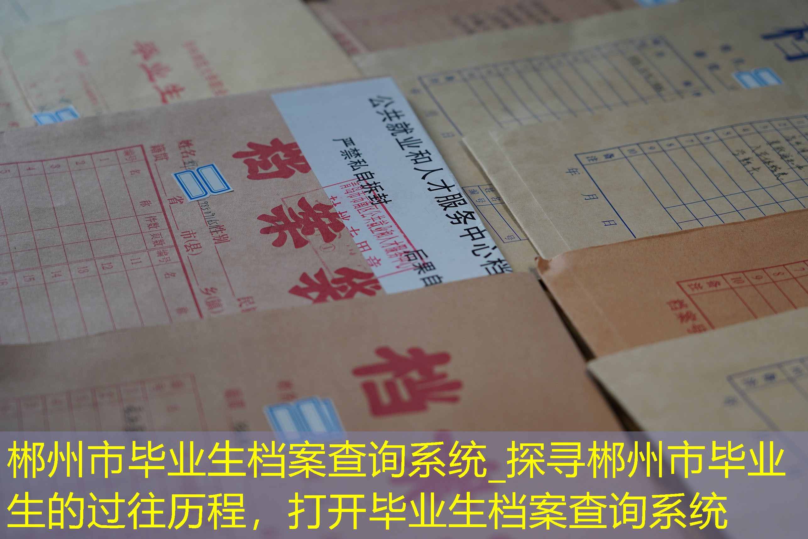 档案查询