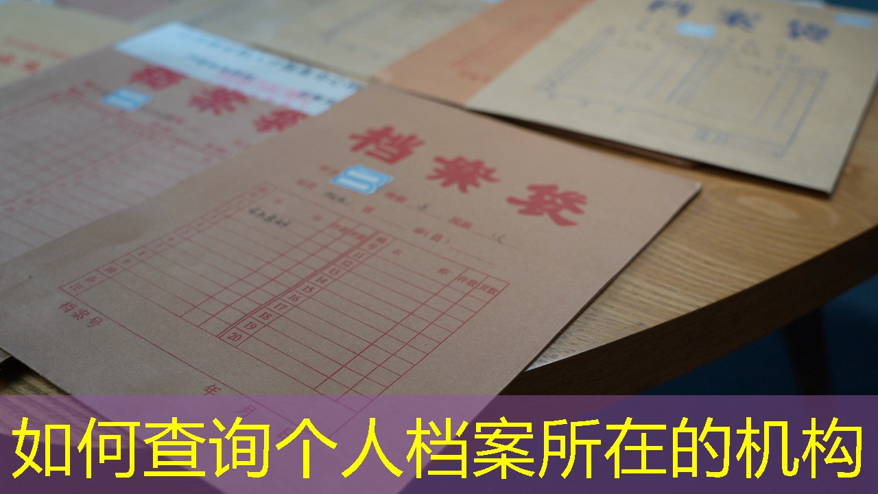 档案查询