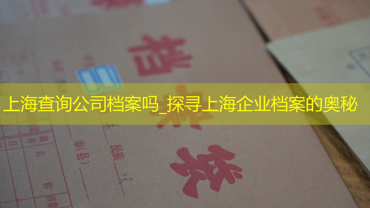 档案查询