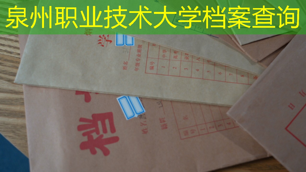 档案查询
