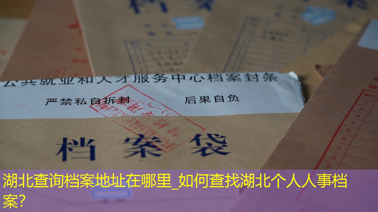 档案查询