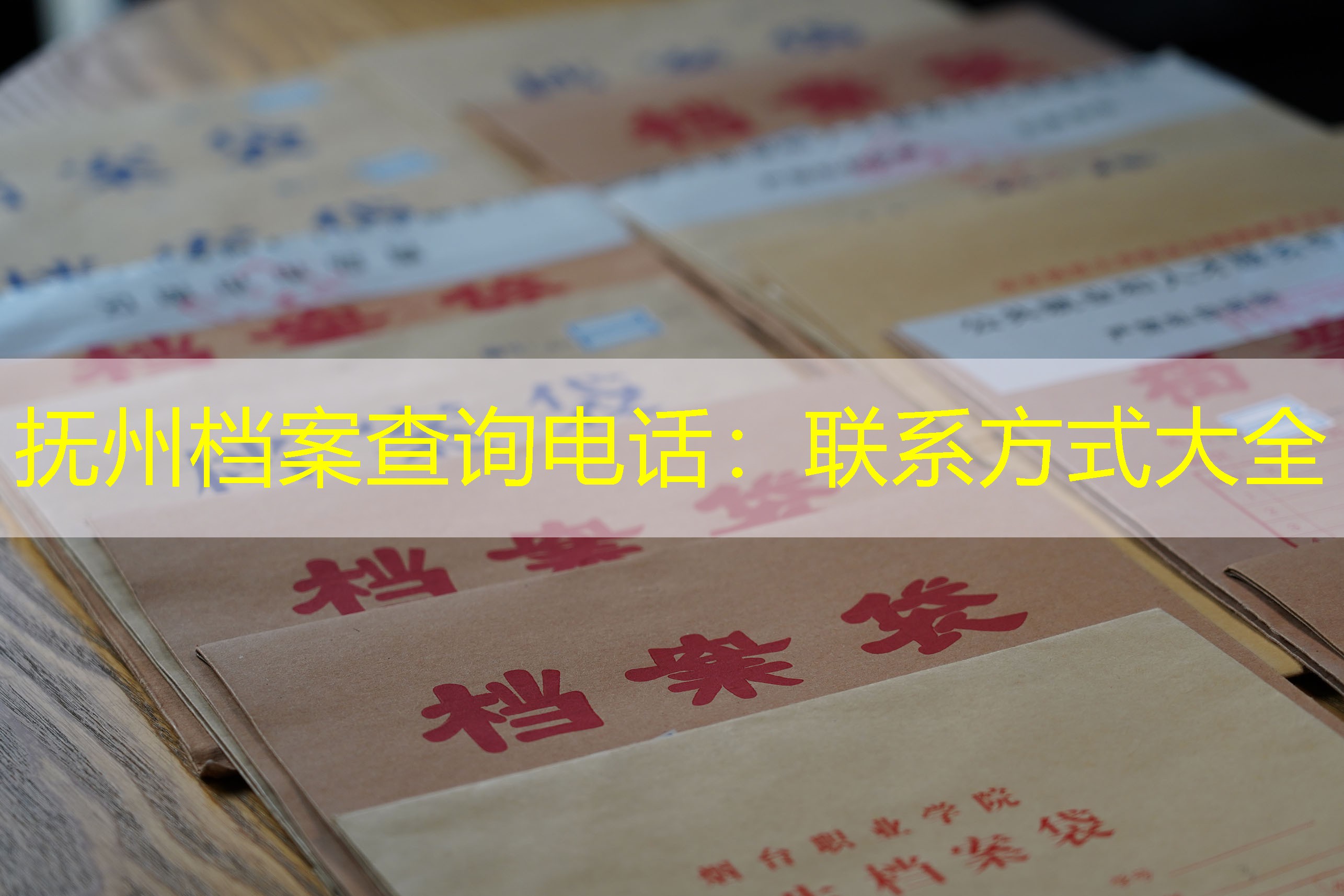 档案查询
