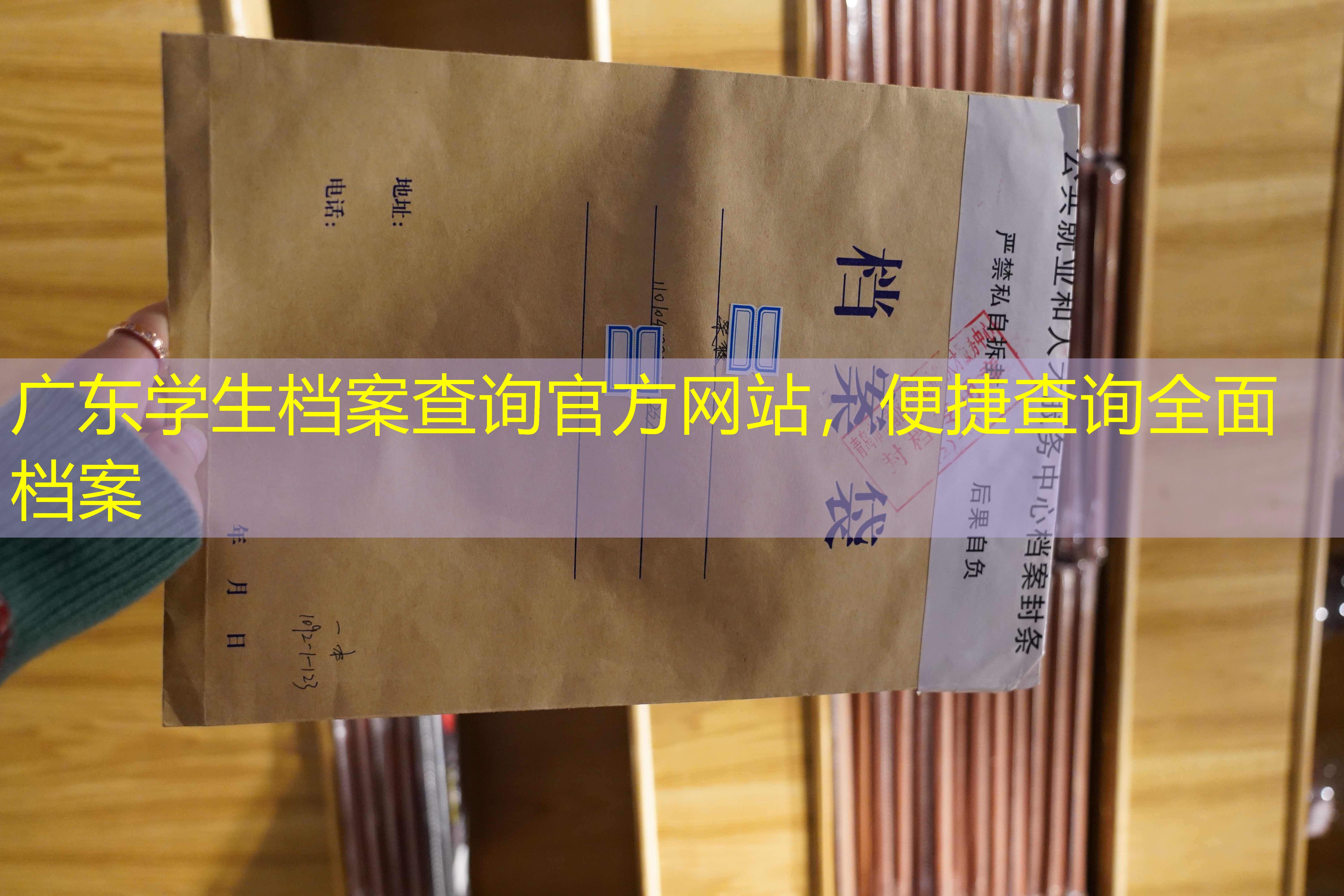 档案查询