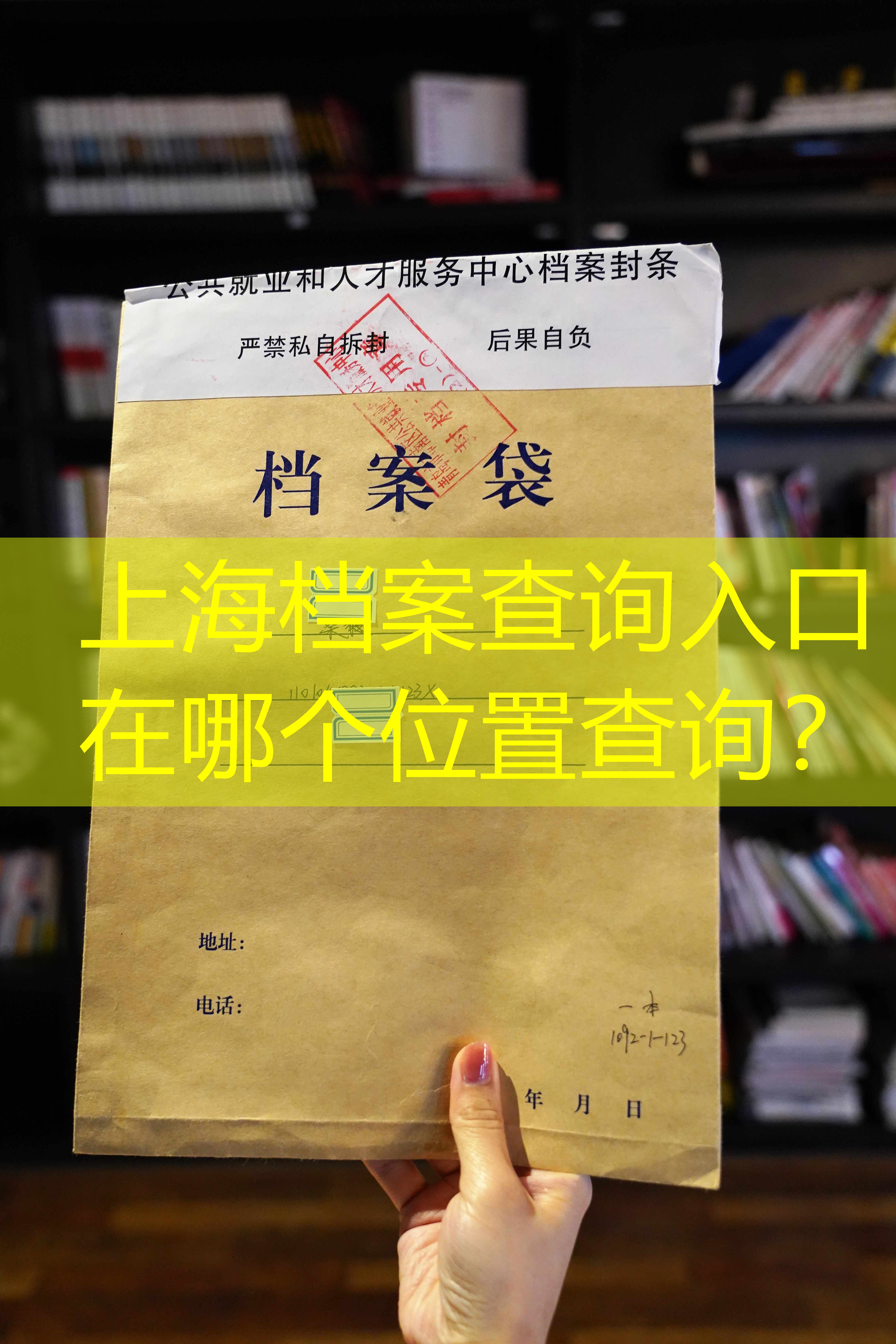 档案查询