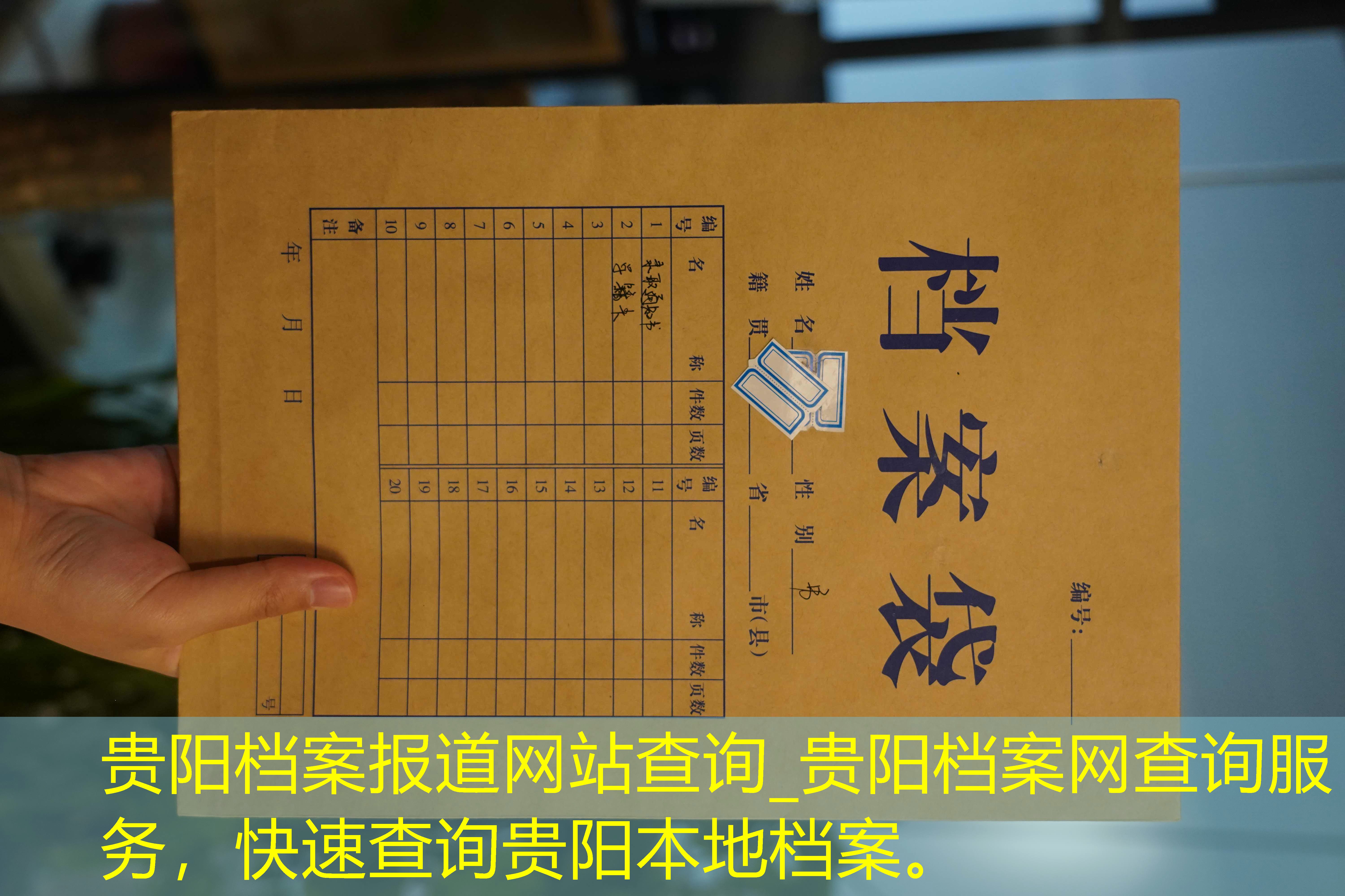 档案查询