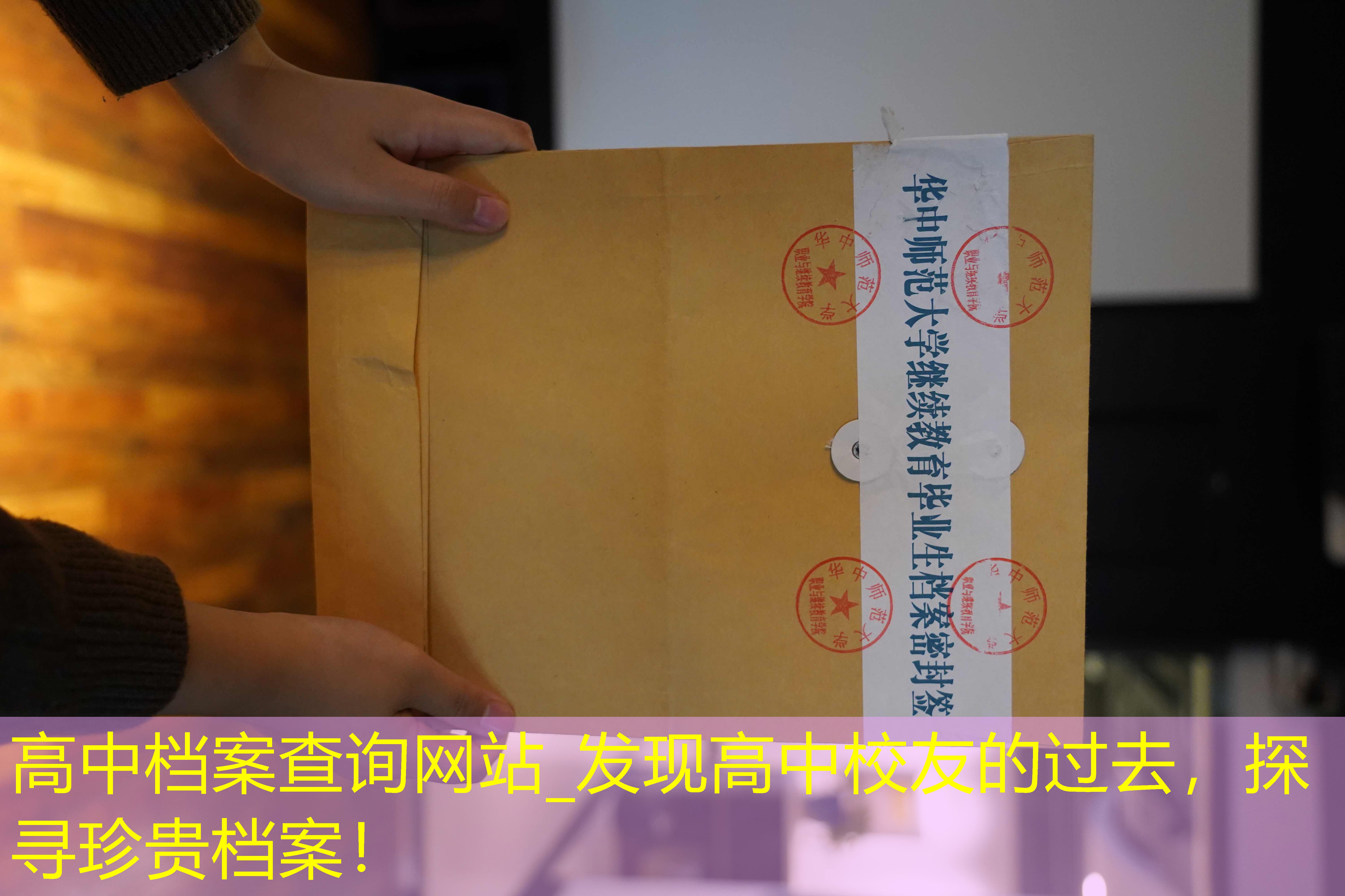 档案查询