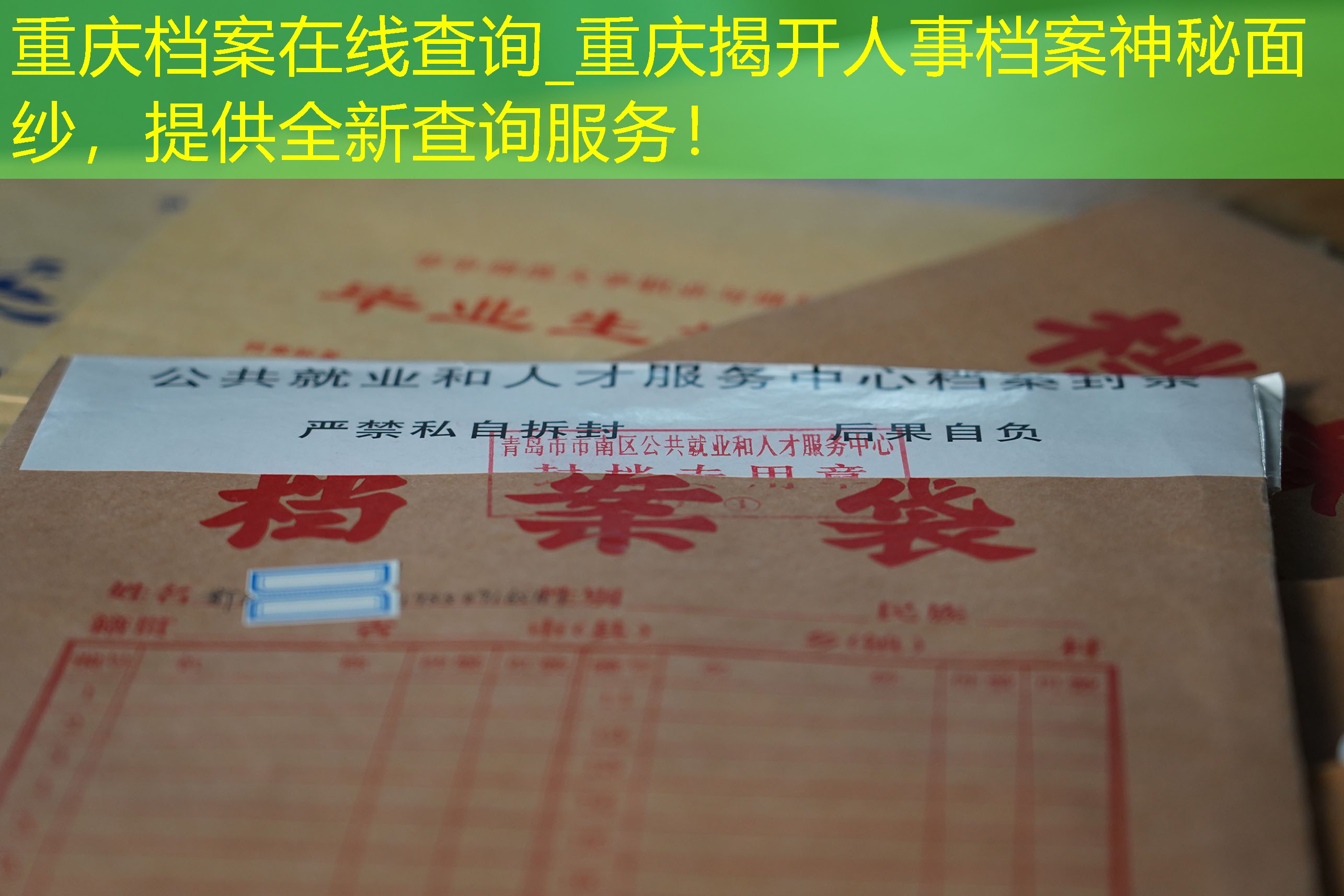 档案查询