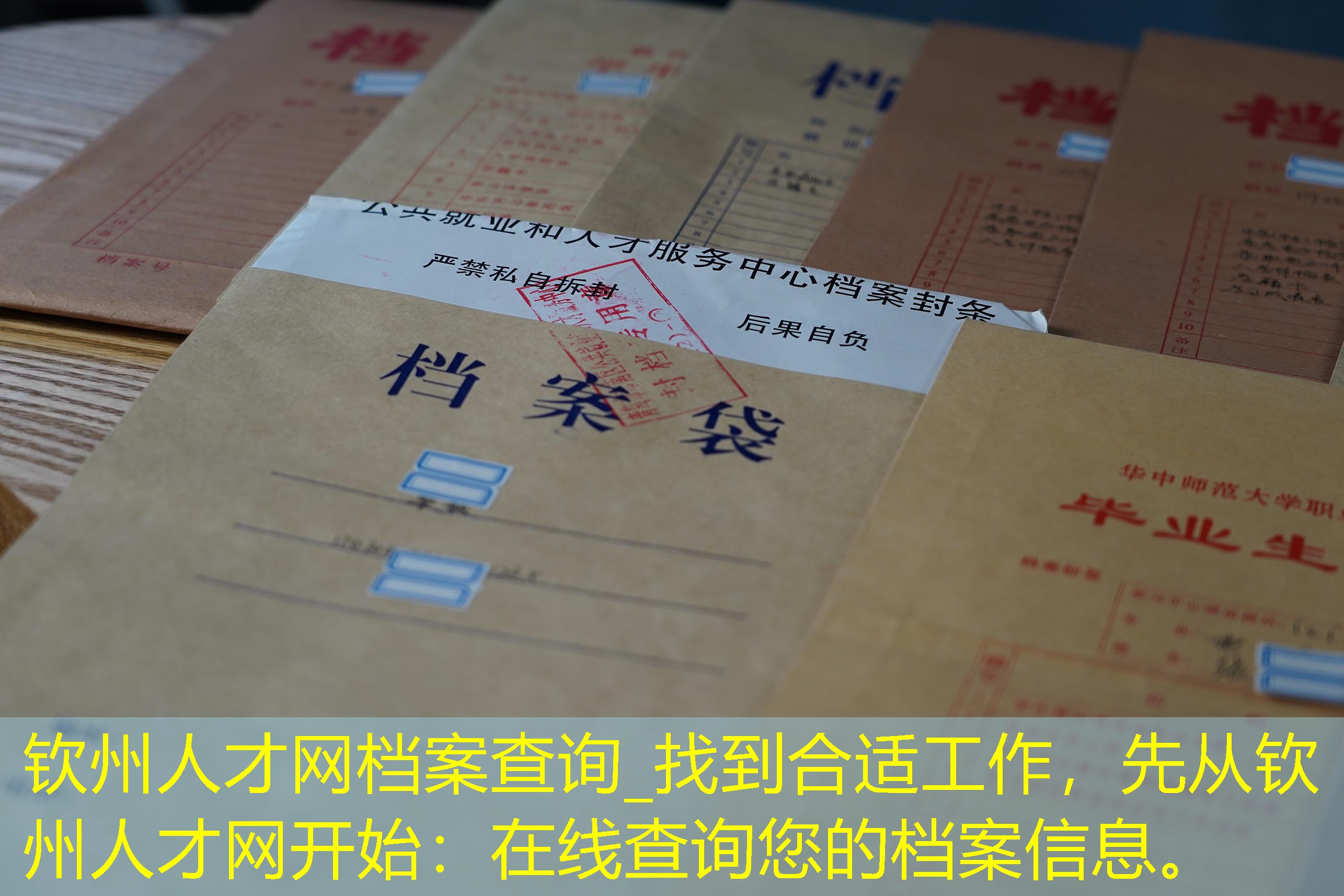 档案查询