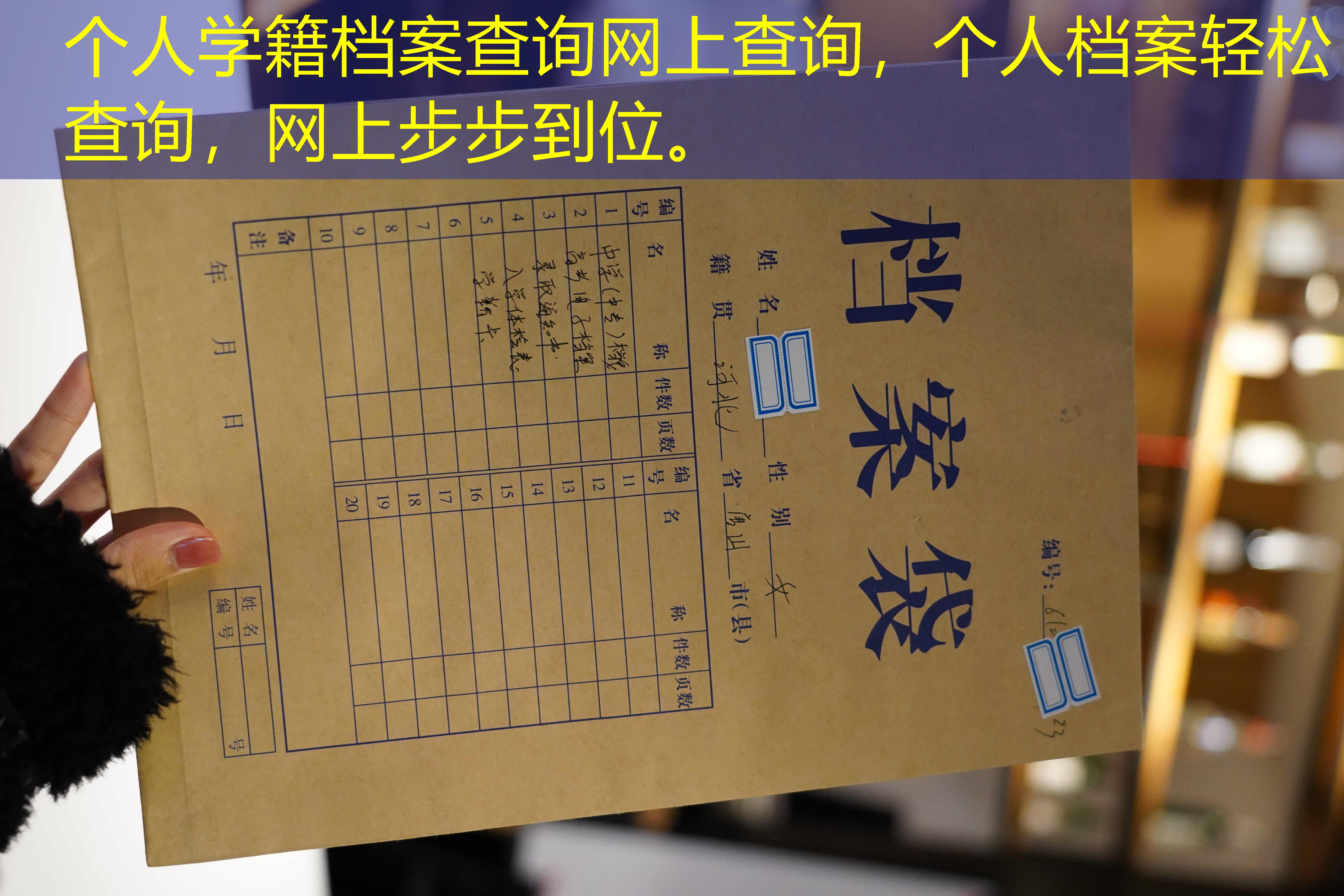 档案查询
