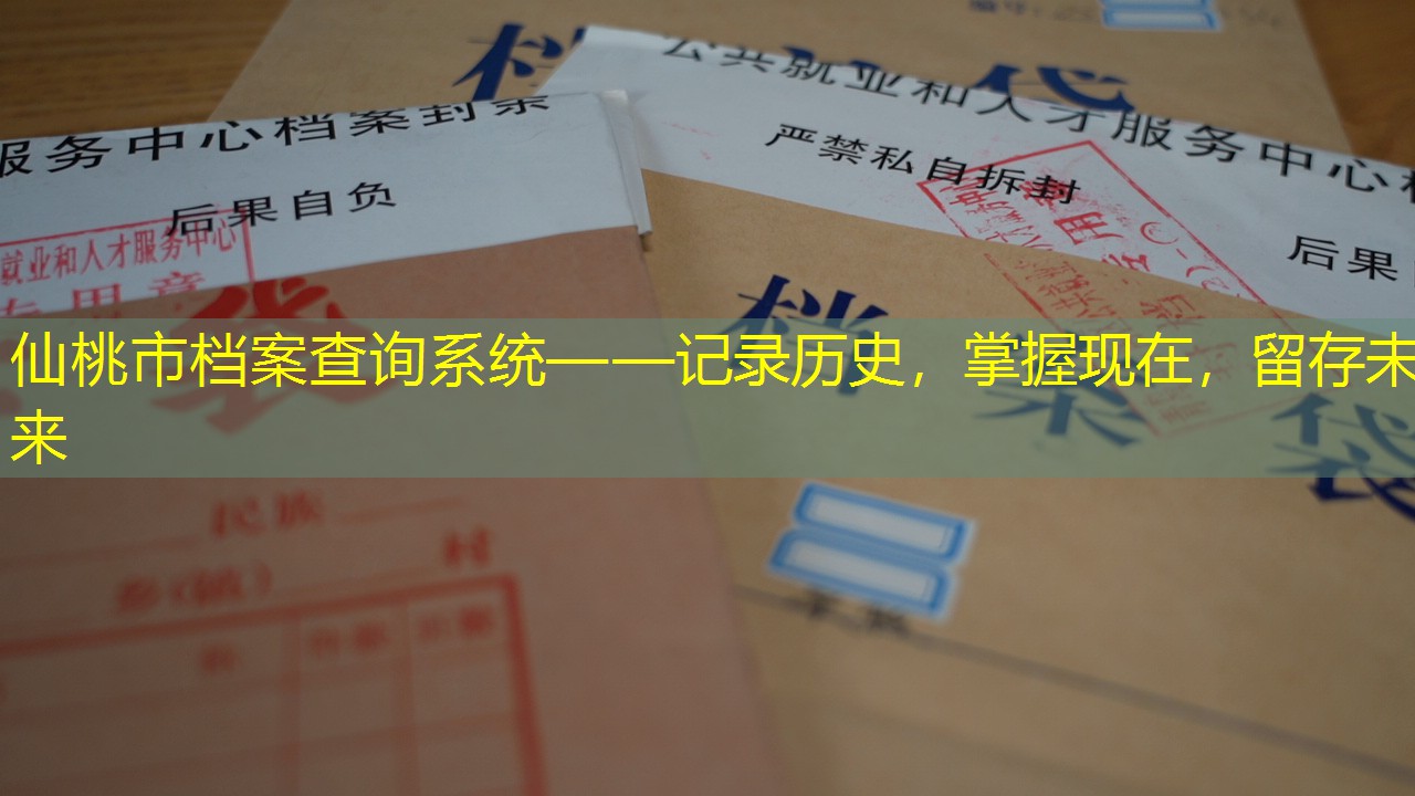 档案查询