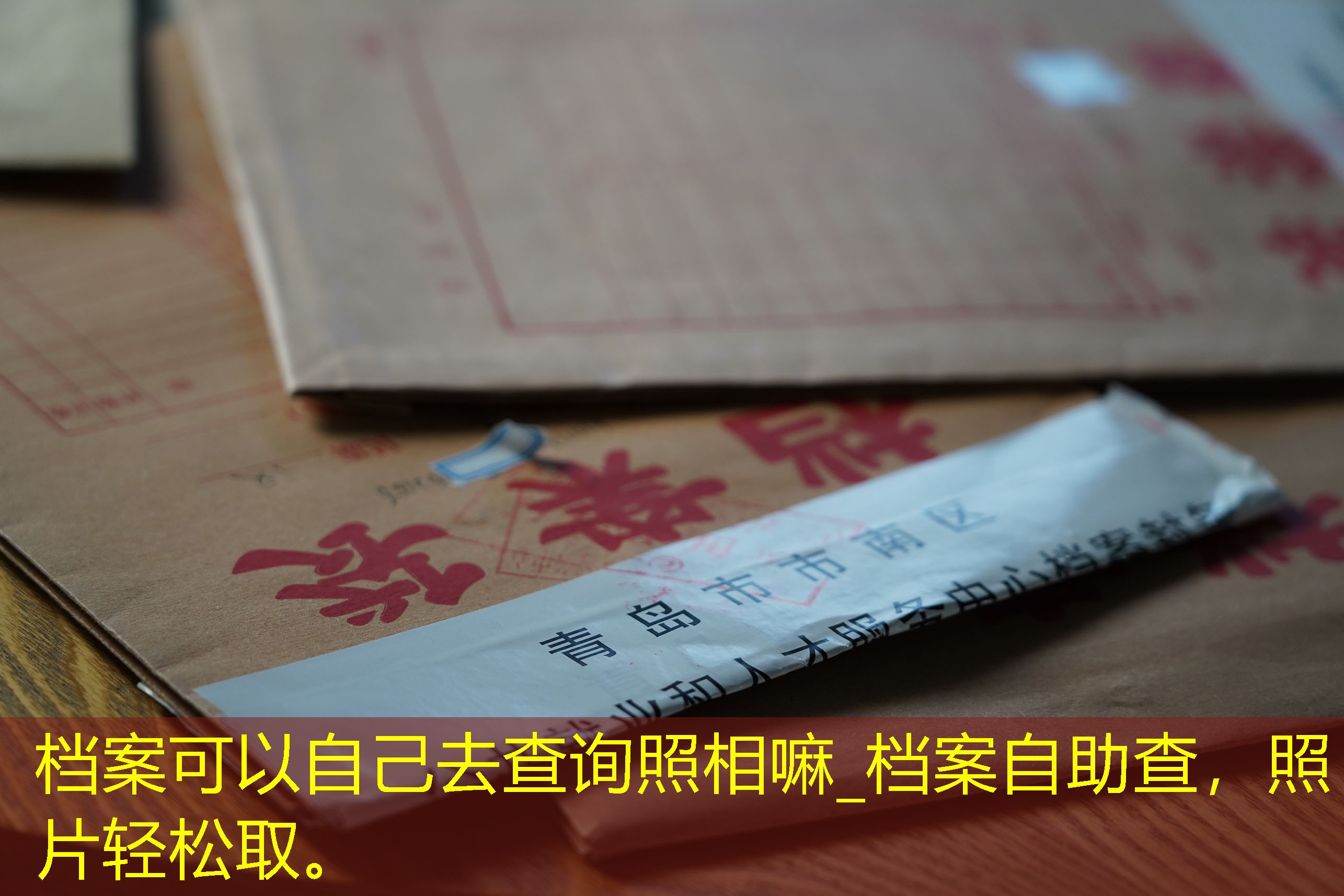 档案查询