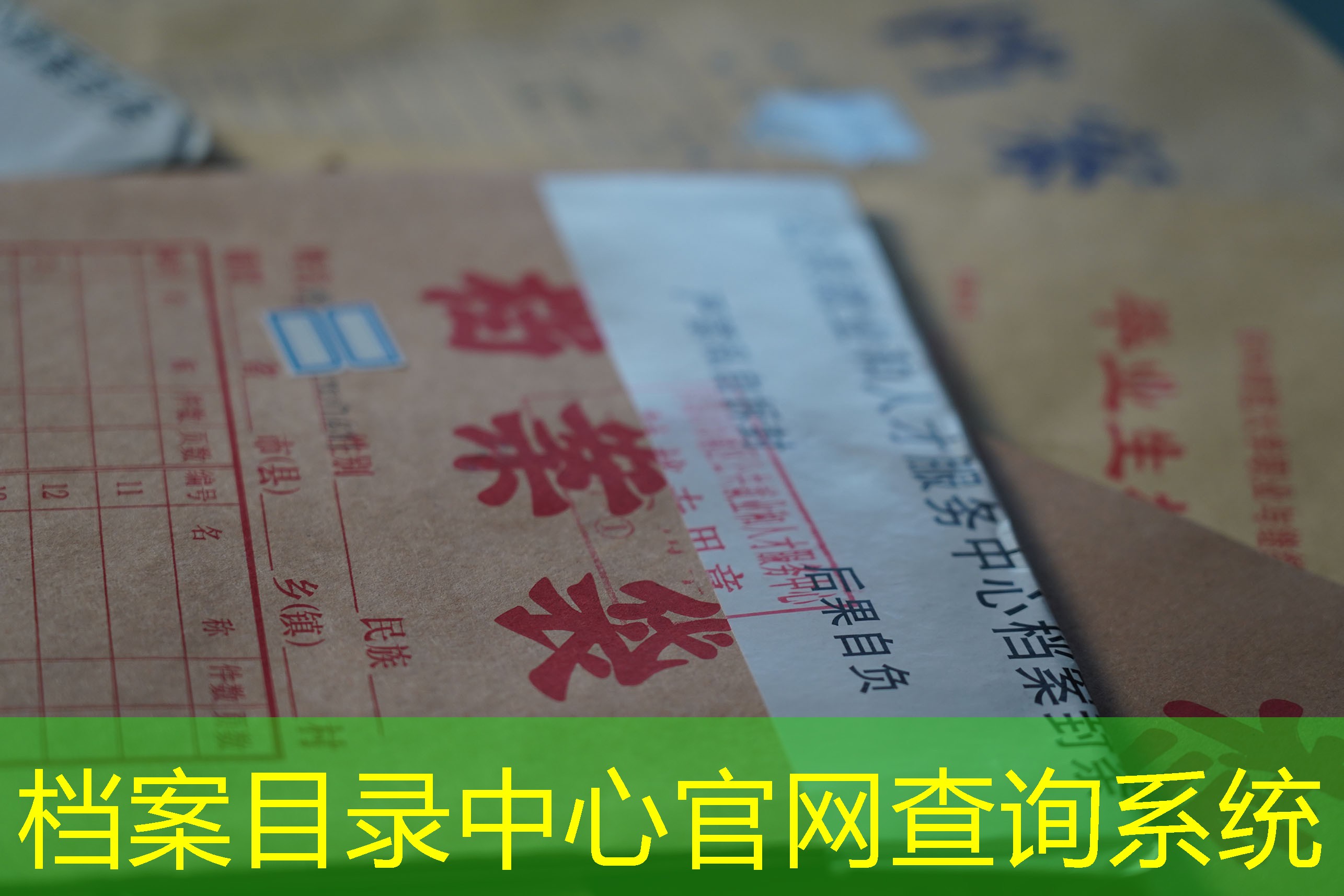 档案查询