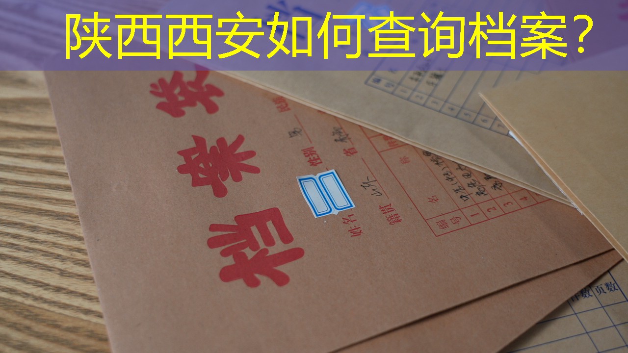 档案查询