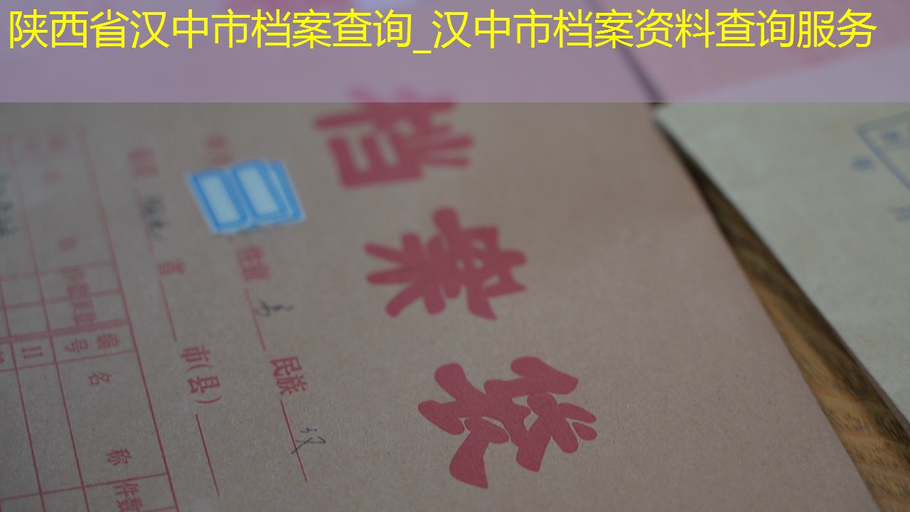 档案查询