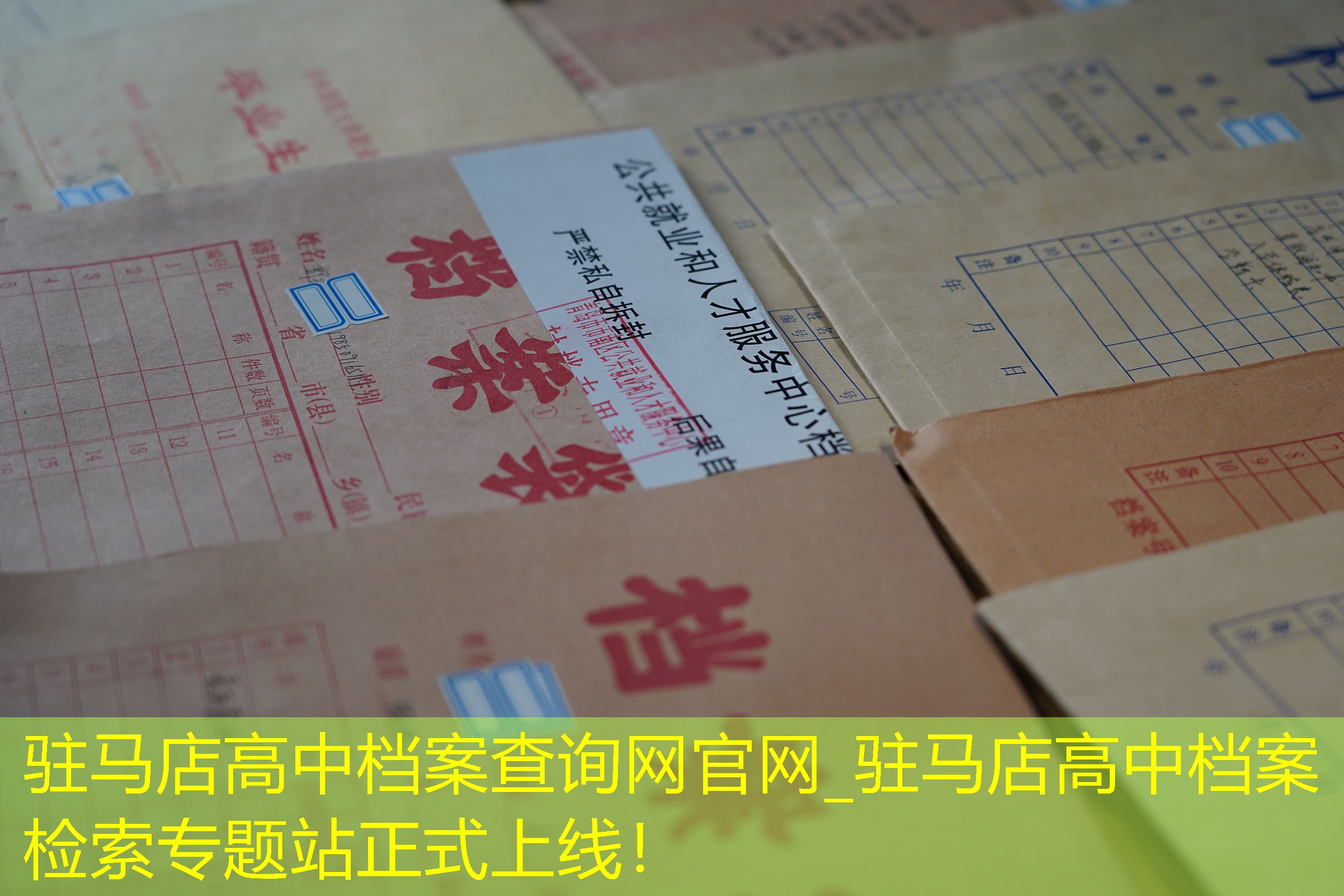 档案查询