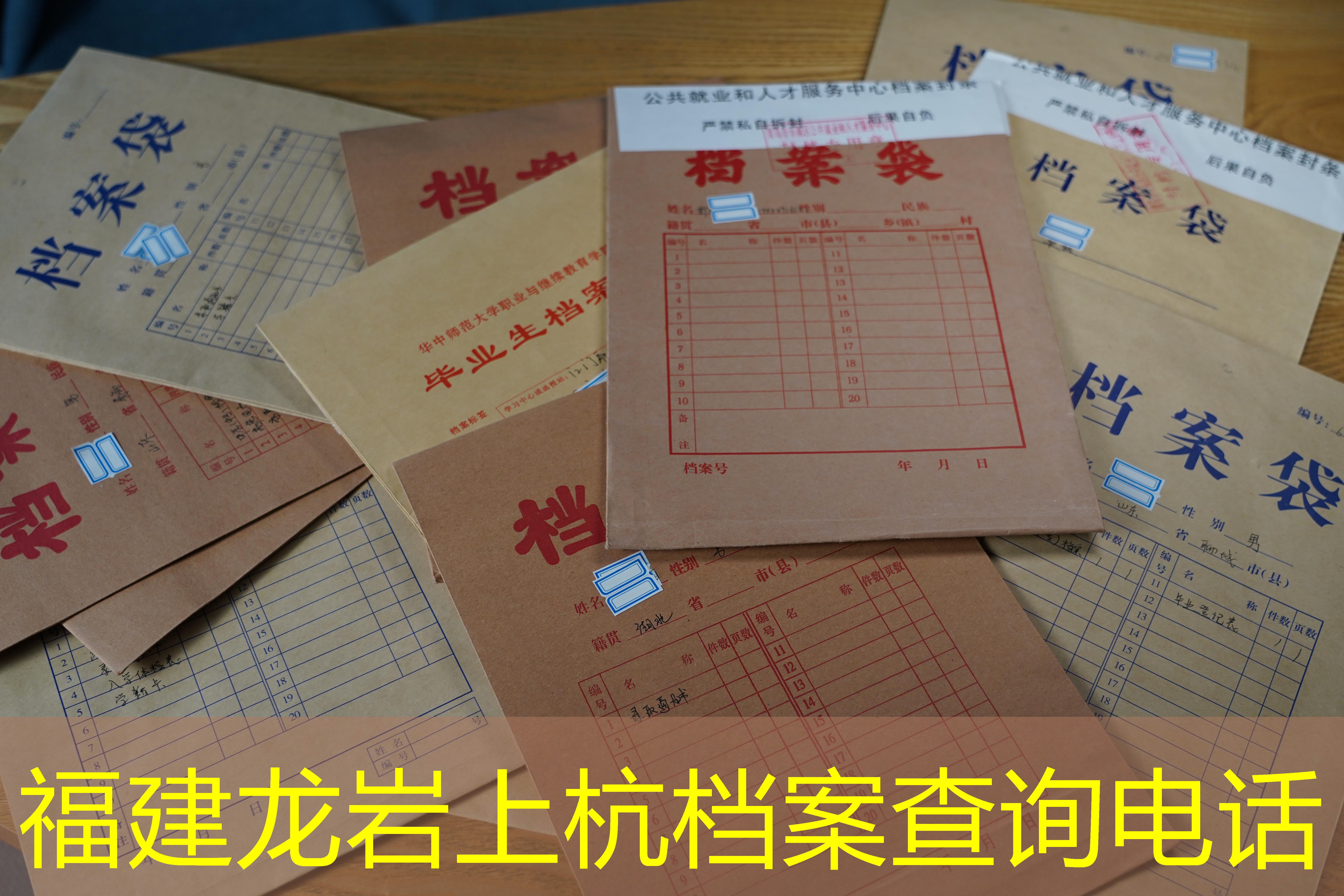 档案查询