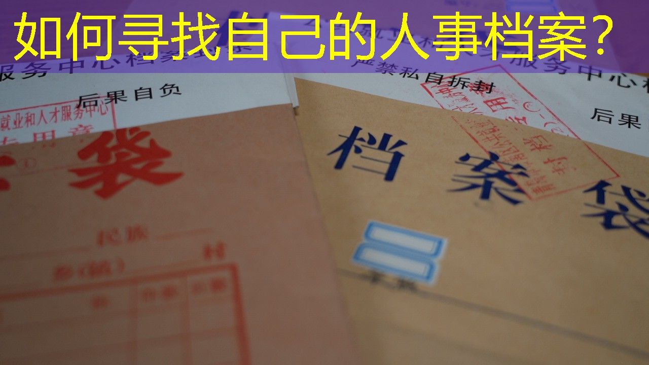 档案查询