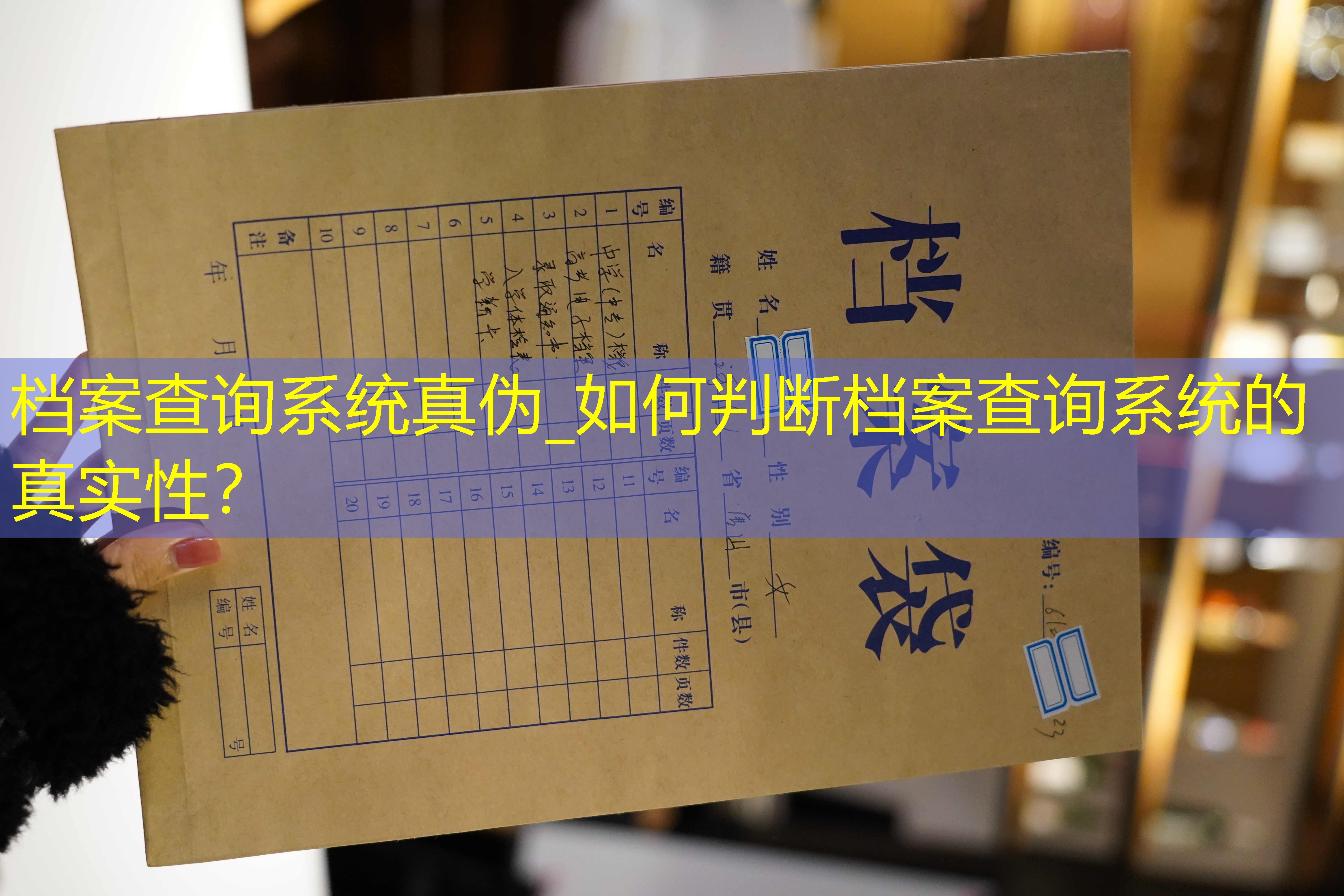 档案查询