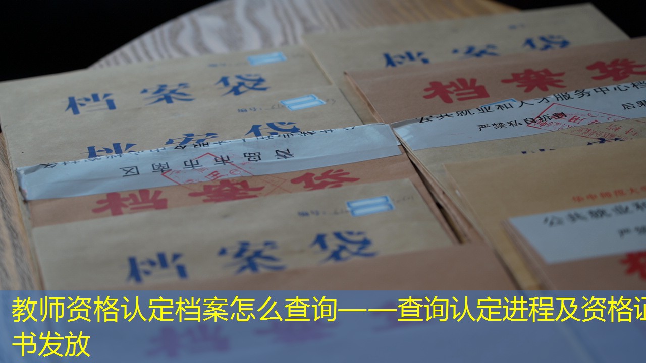 档案查询