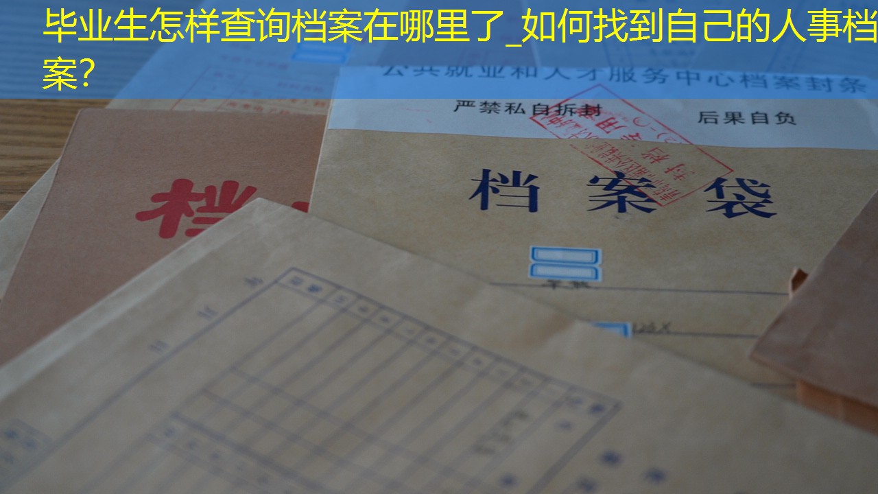 档案查询
