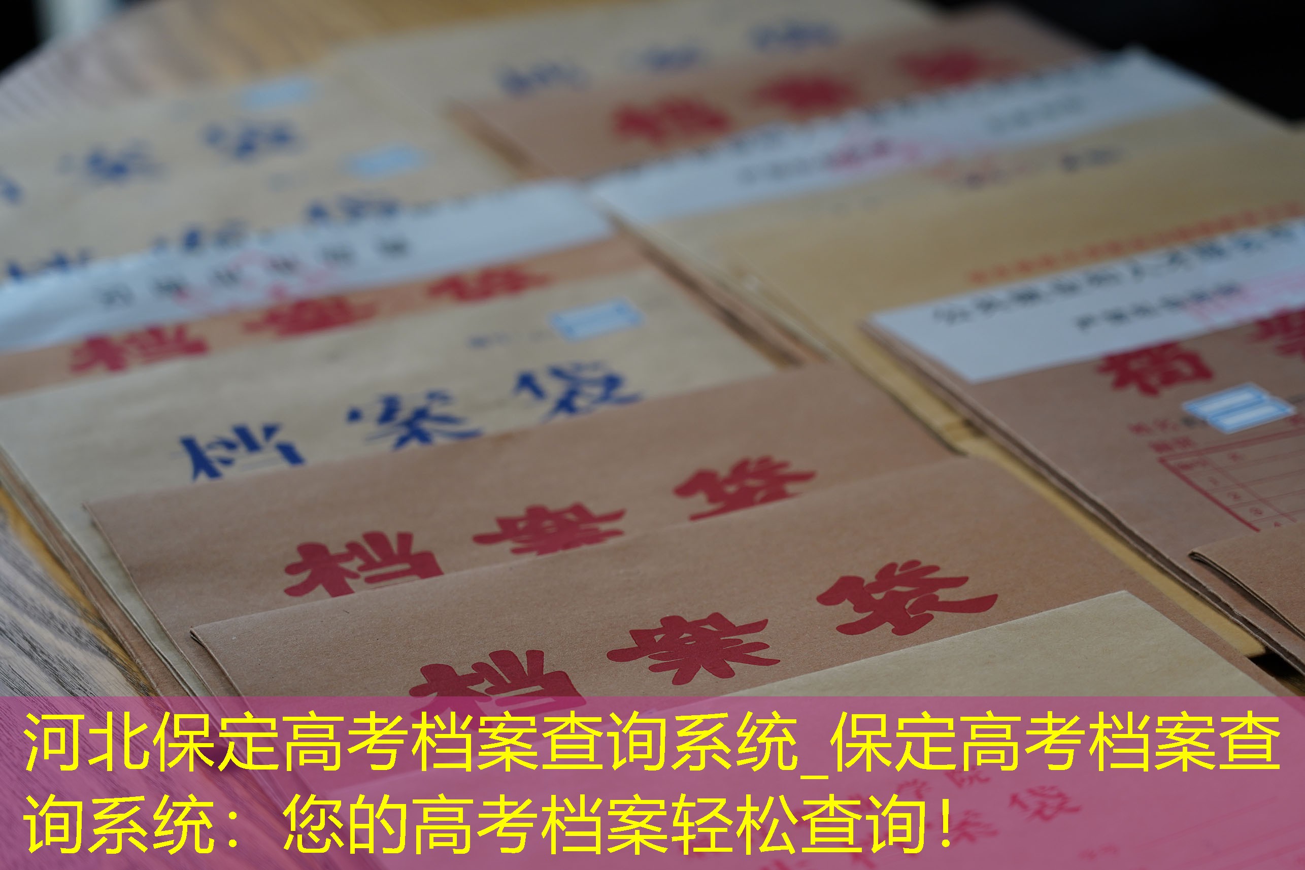 档案查询
