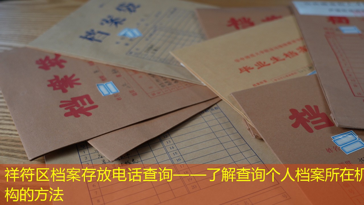 档案查询