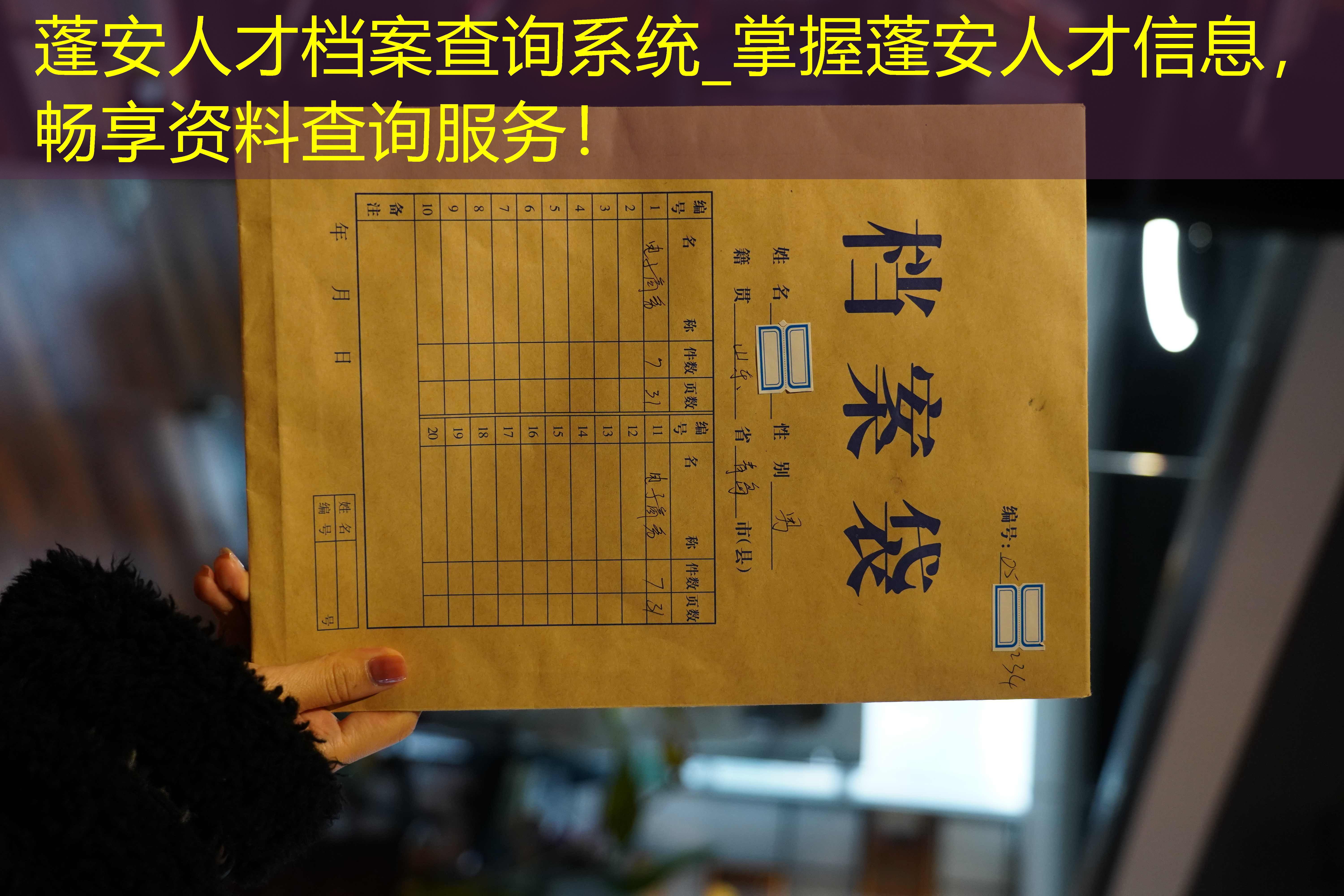 档案查询