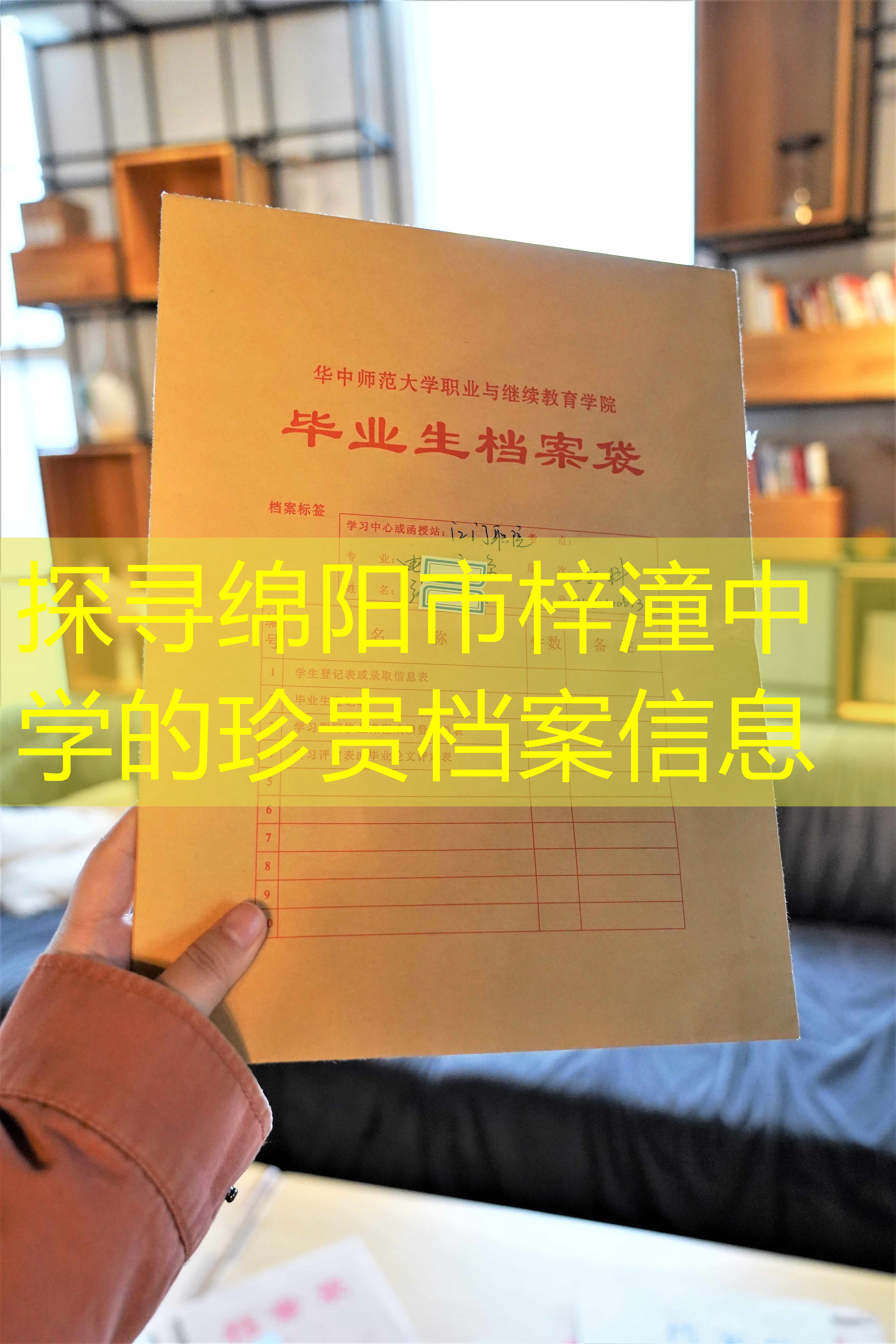 档案查询