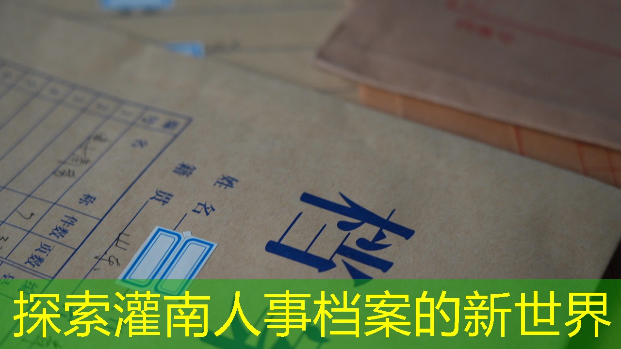 档案查询