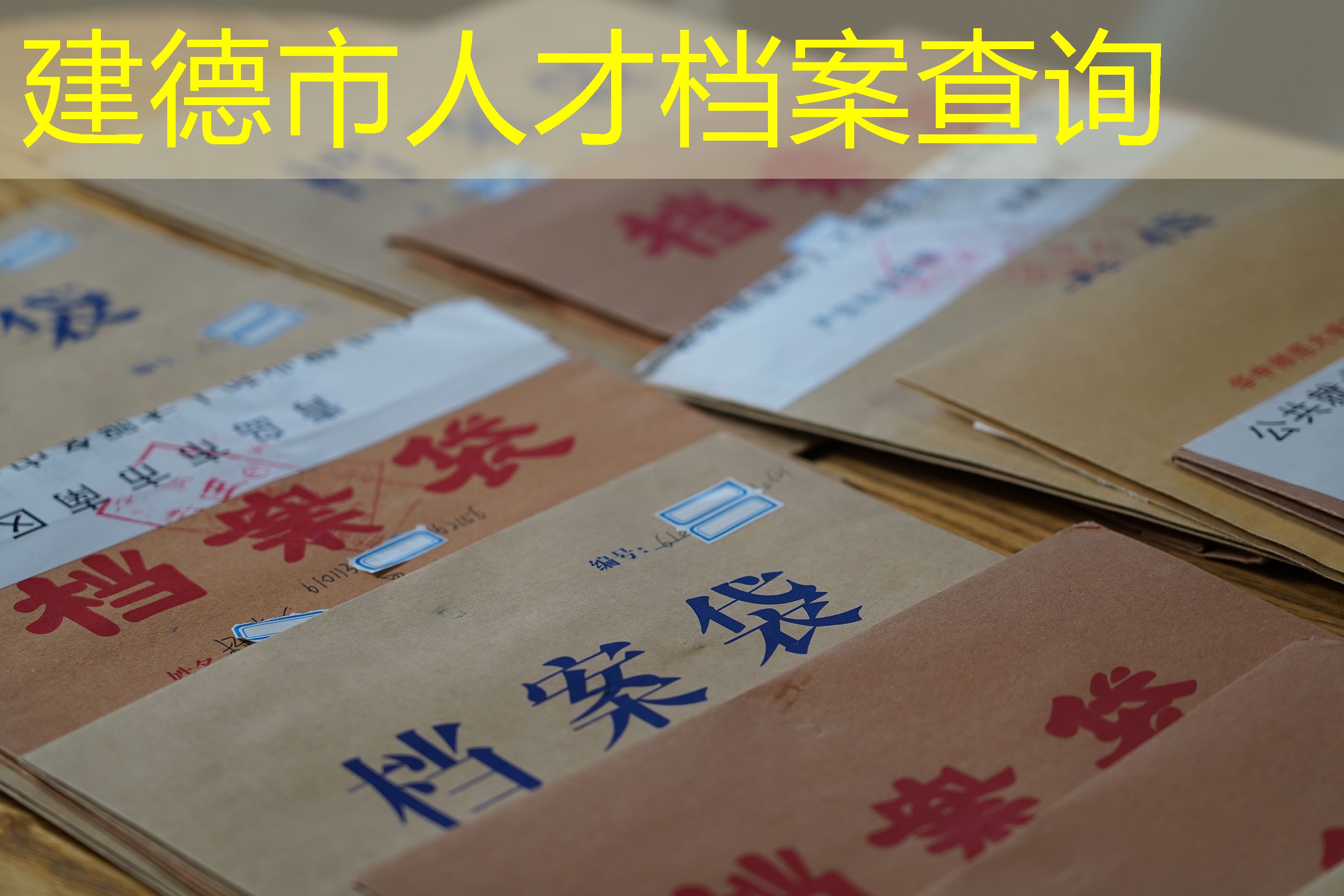 档案查询