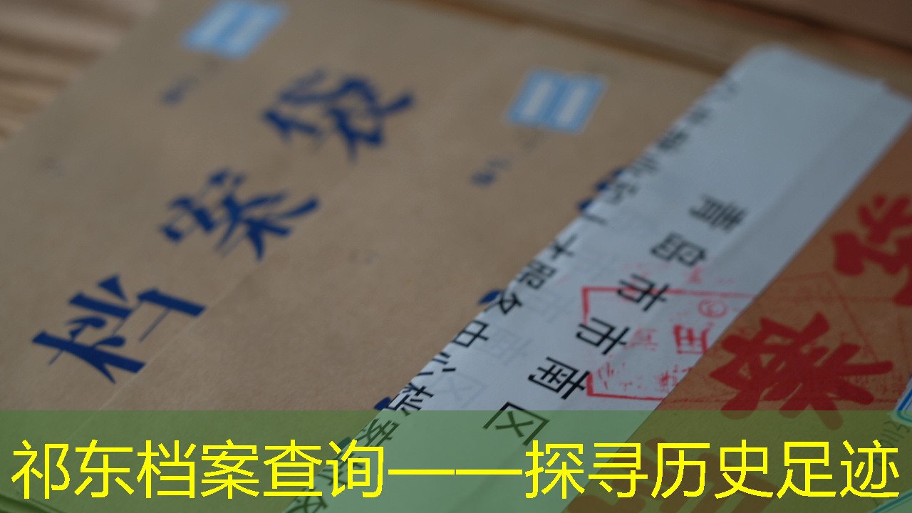档案查询