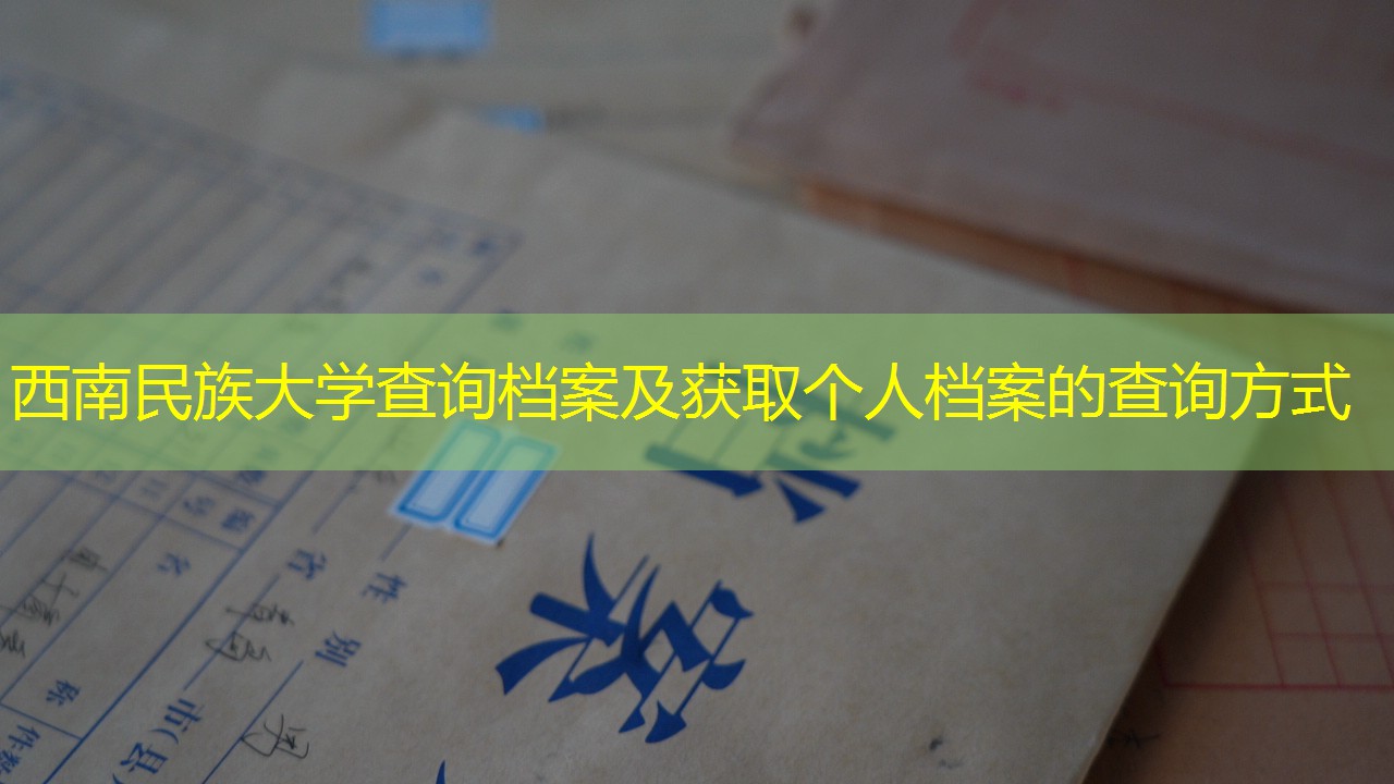 档案查询