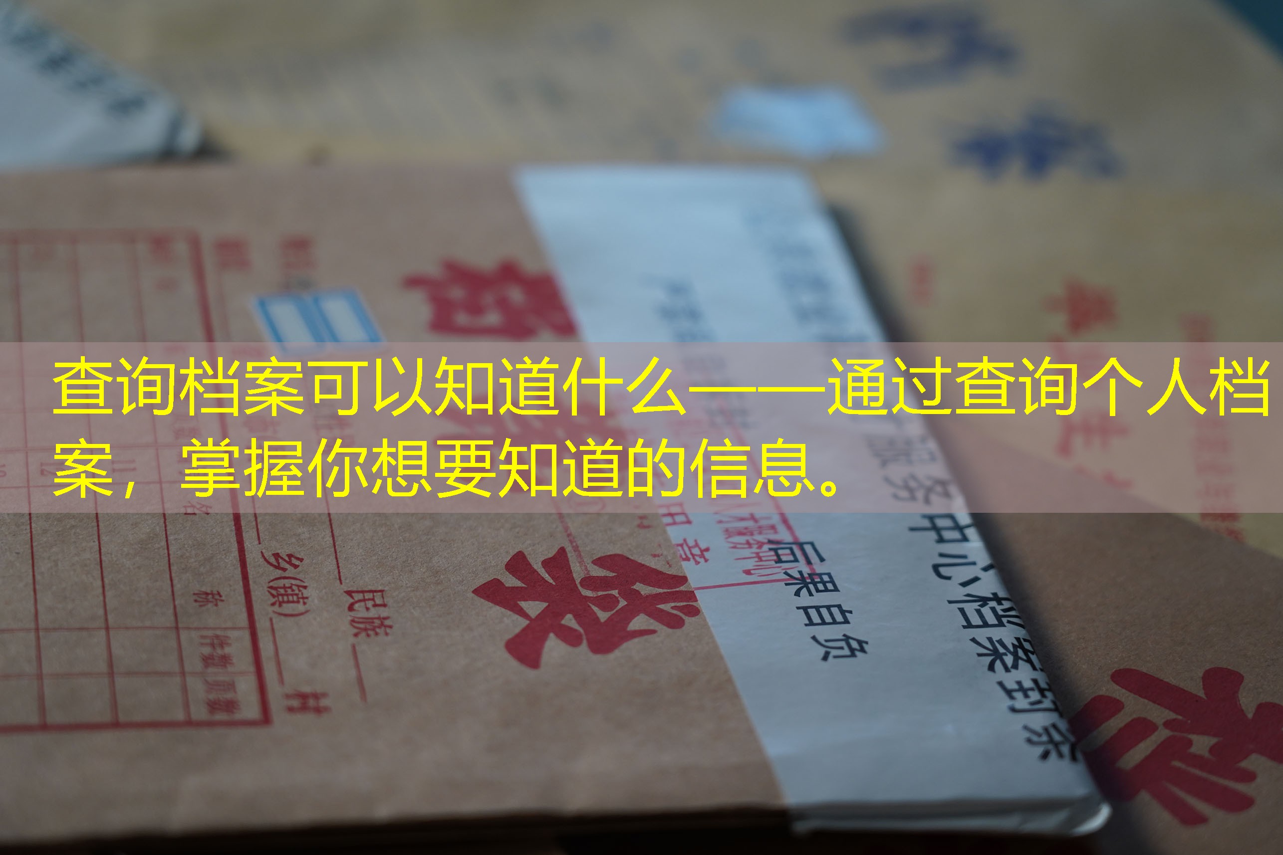 档案查询