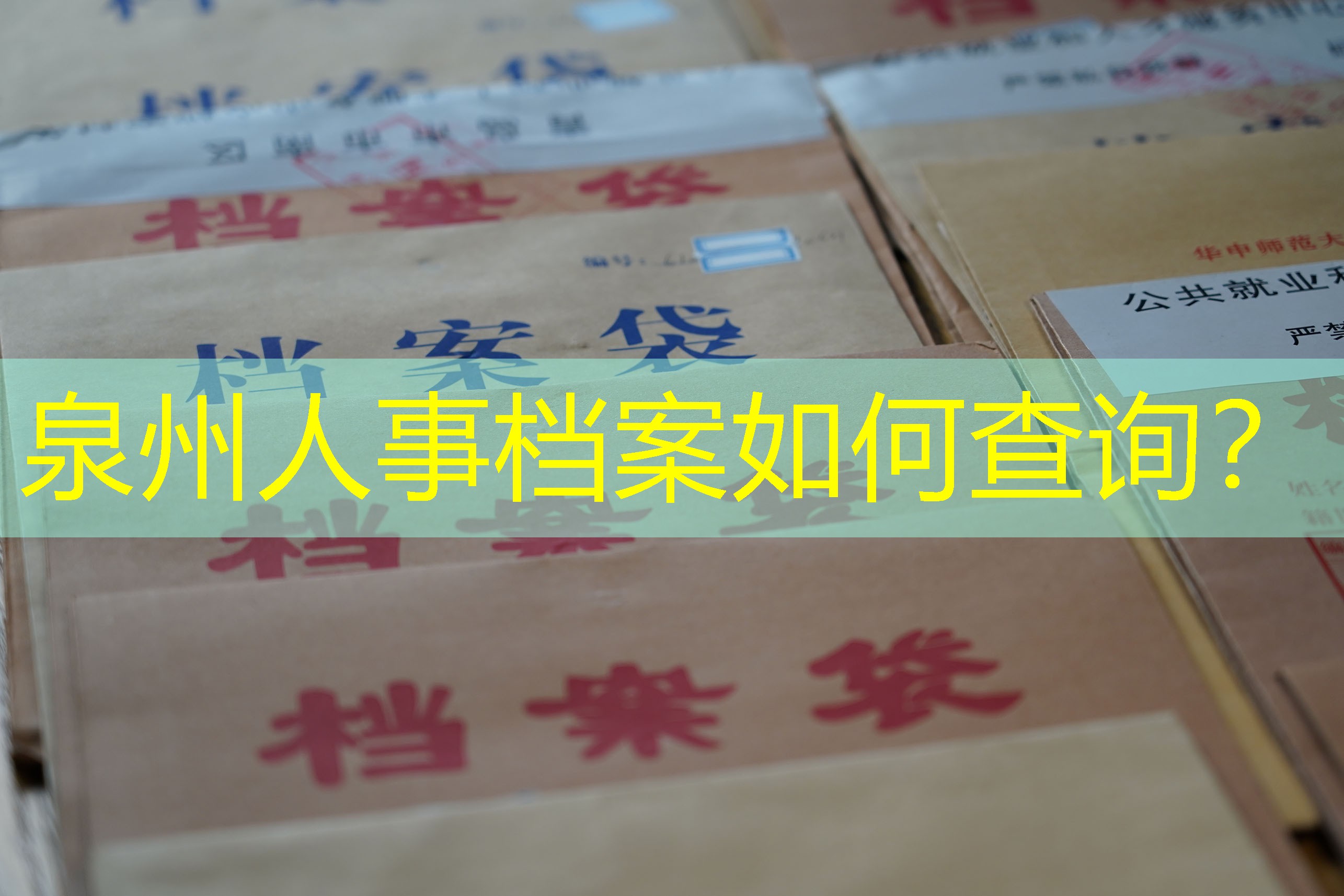 档案查询
