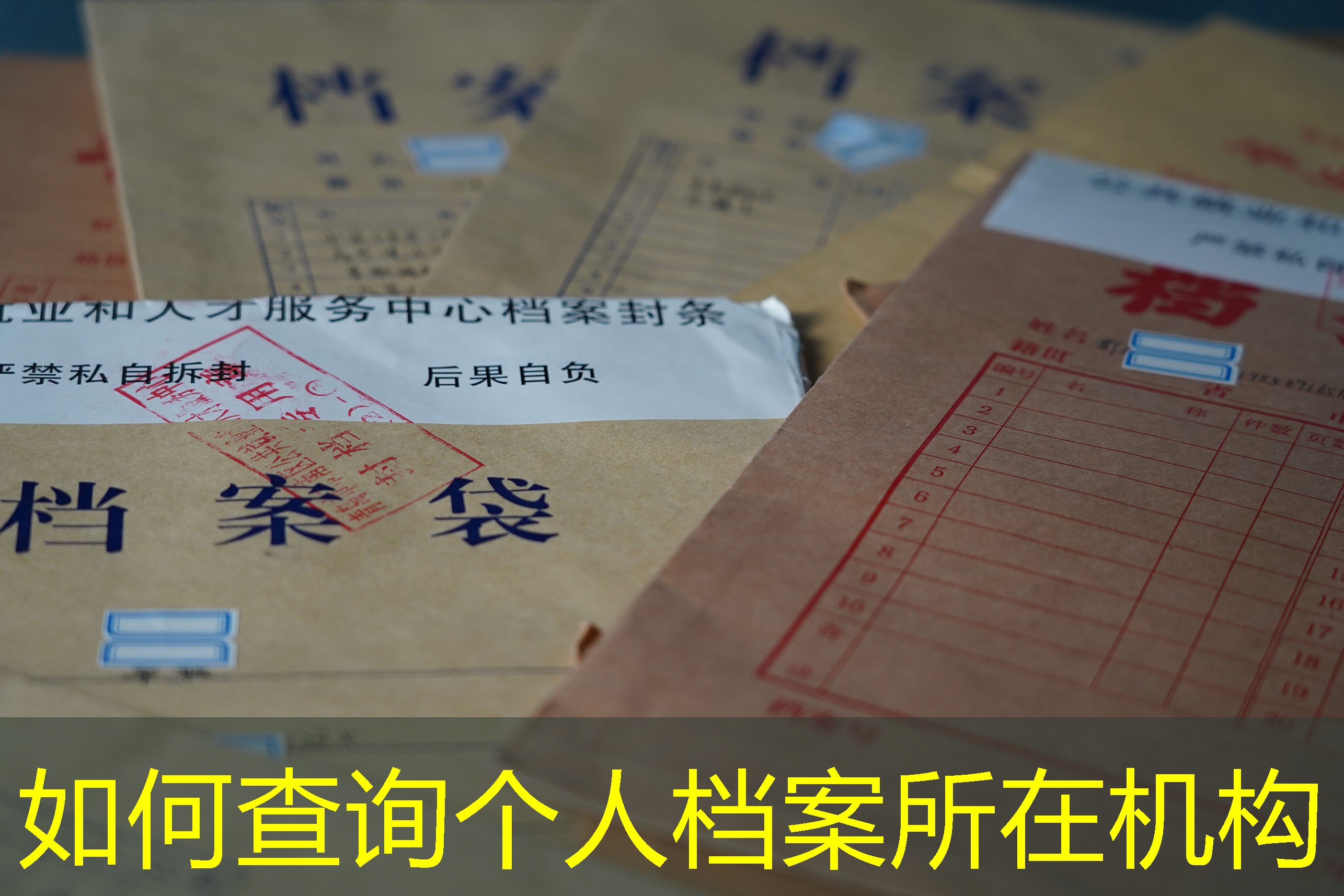 档案查询