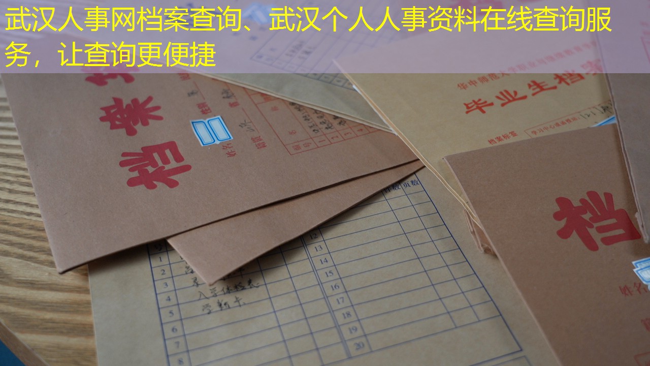 档案查询