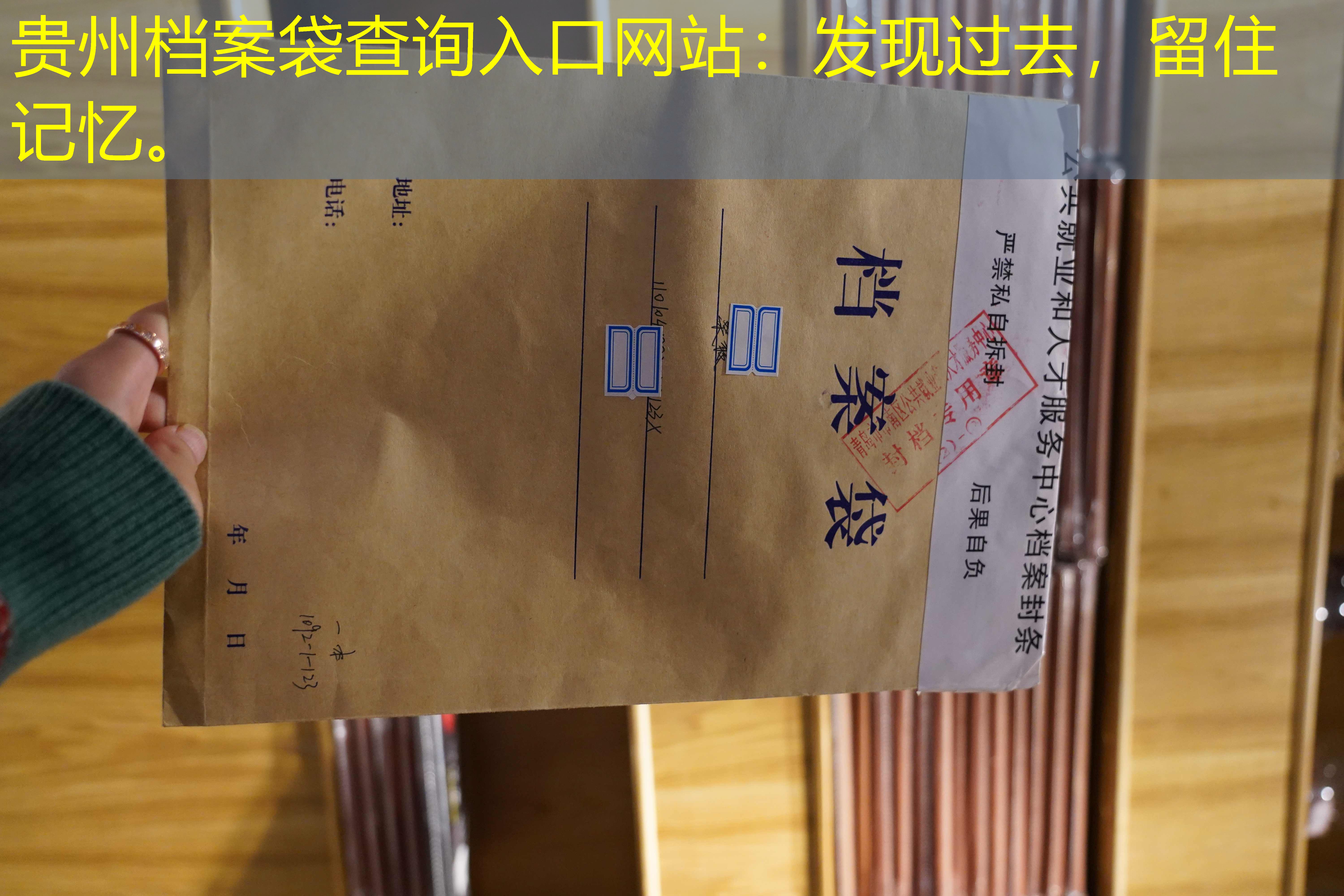 档案查询