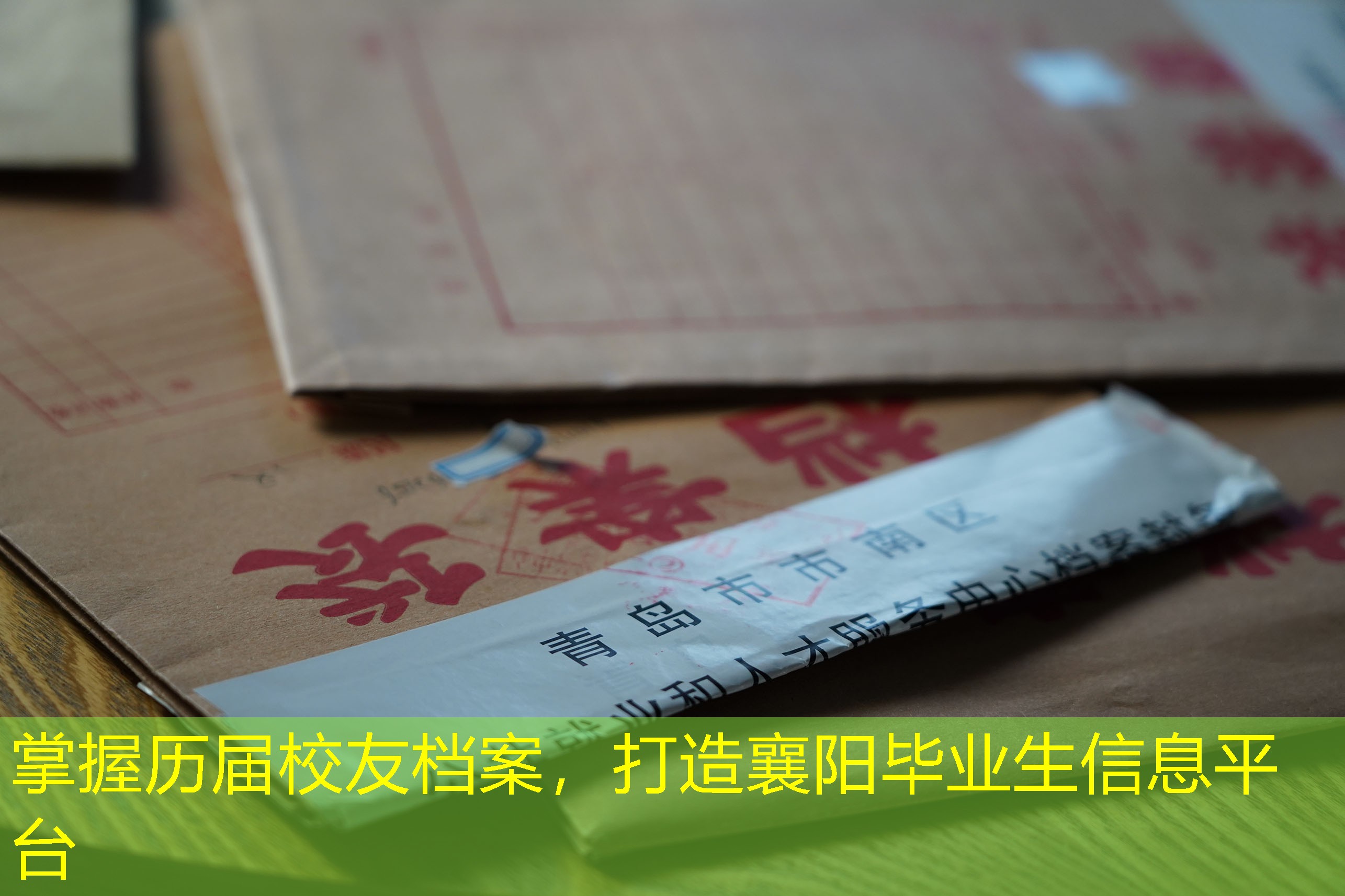 档案查询
