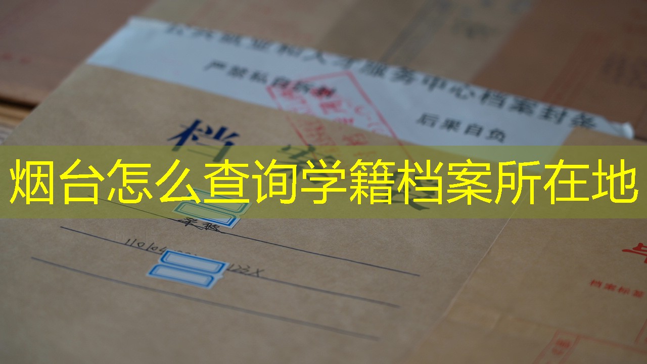 档案查询