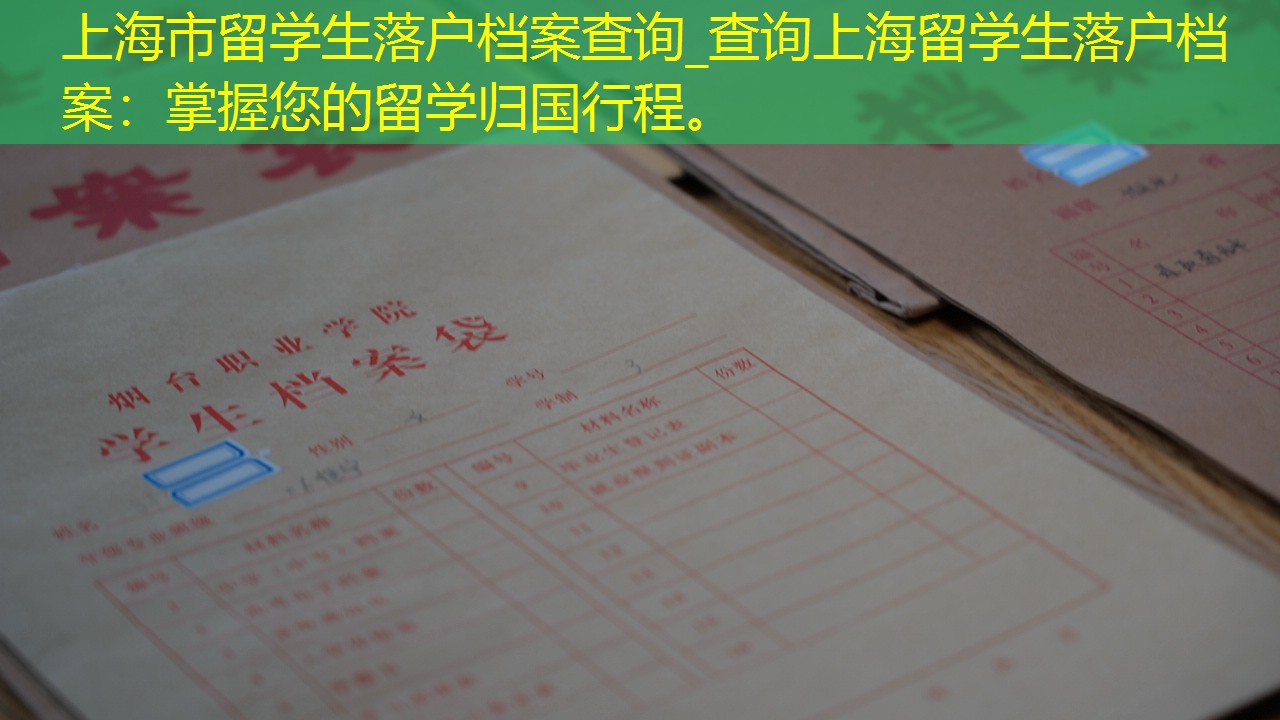 档案查询