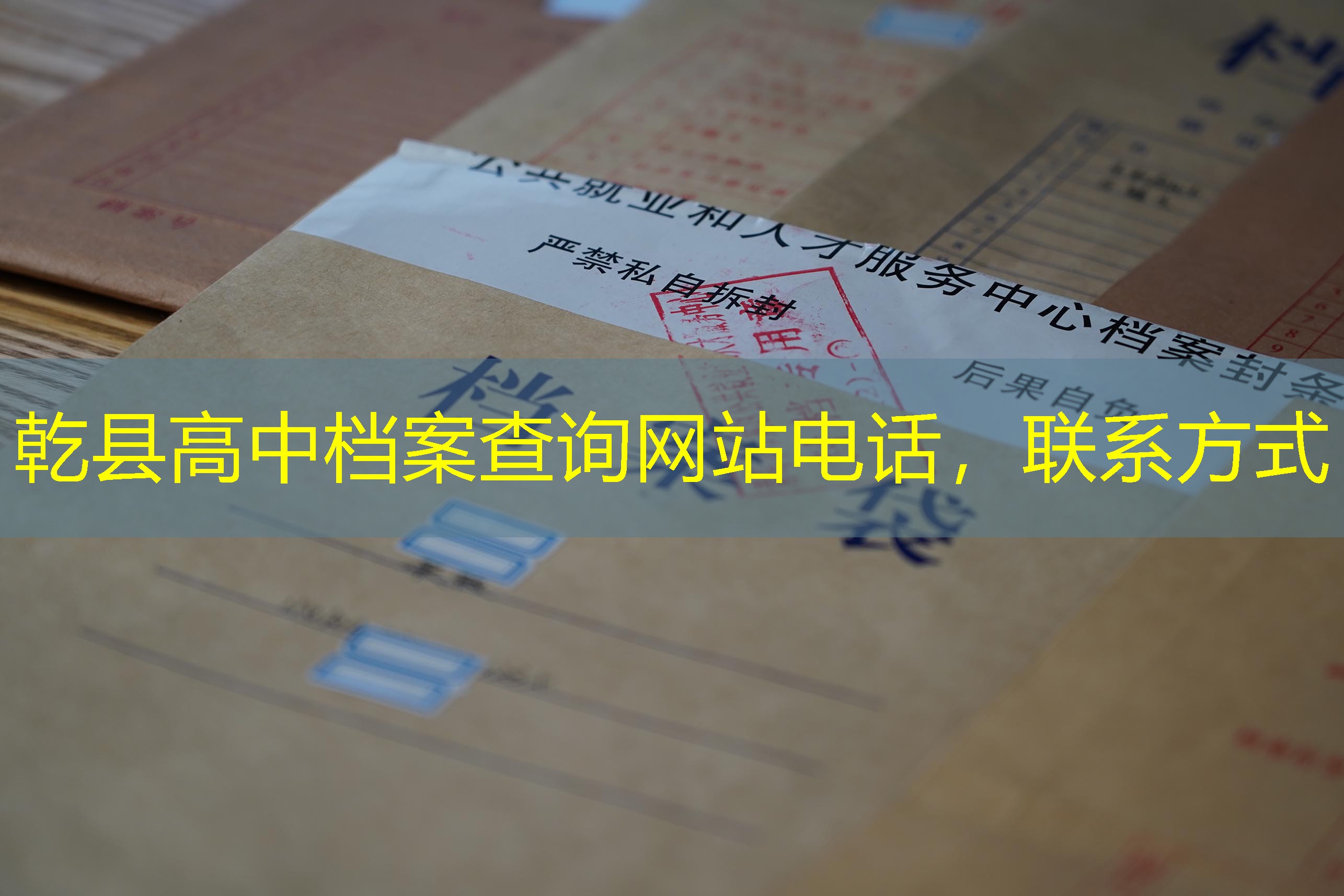 档案查询