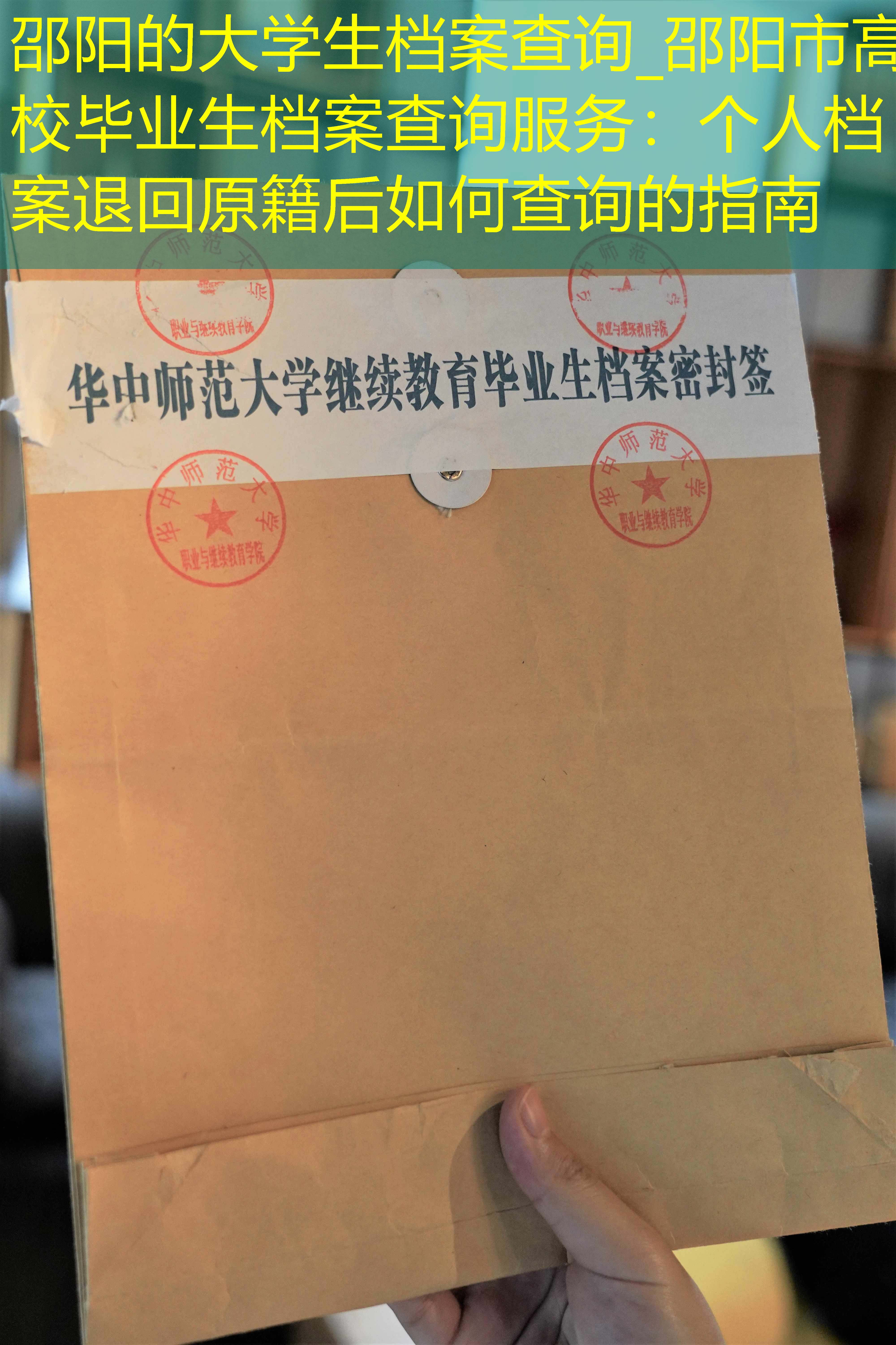 档案查询