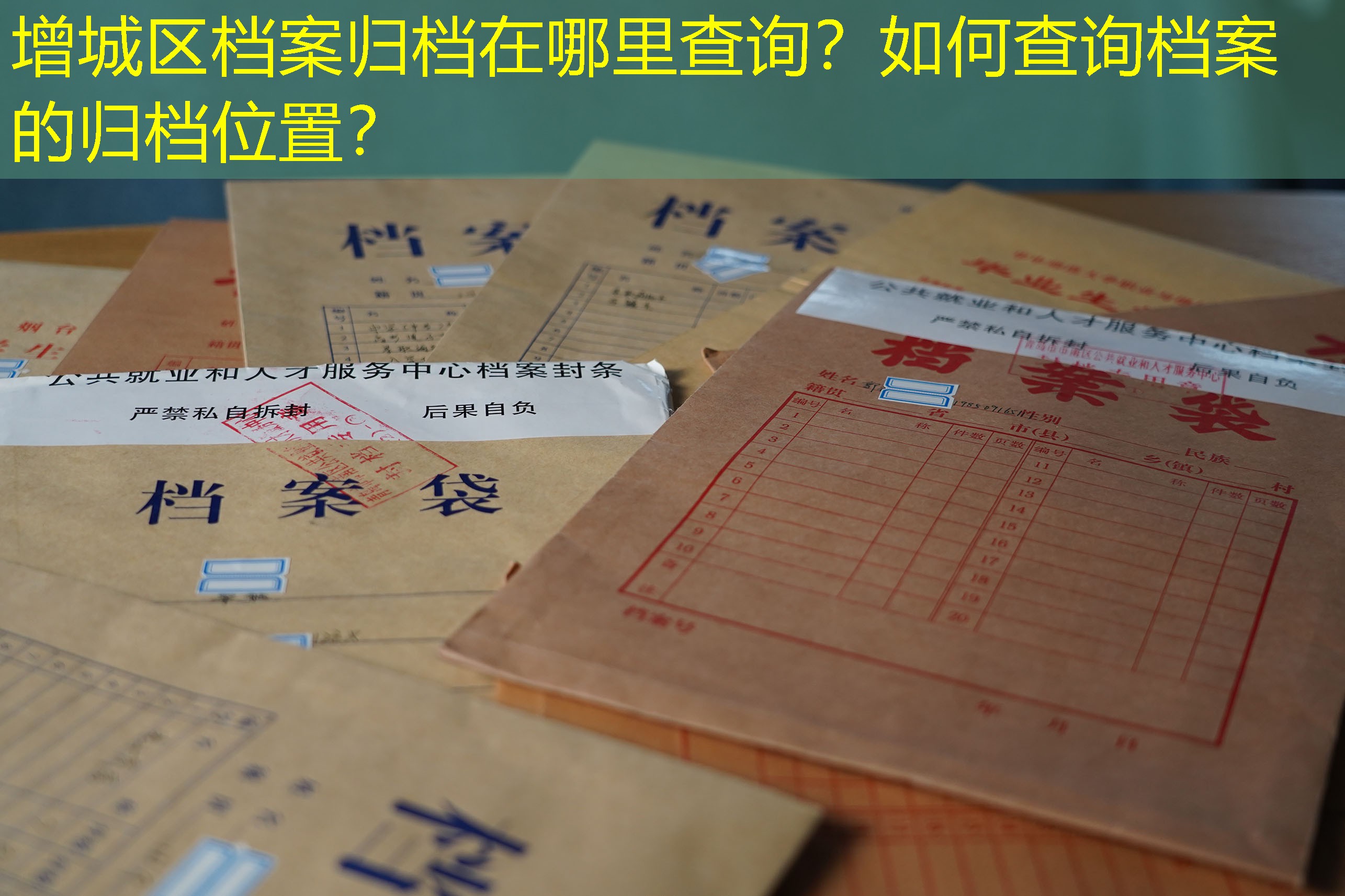 档案查询