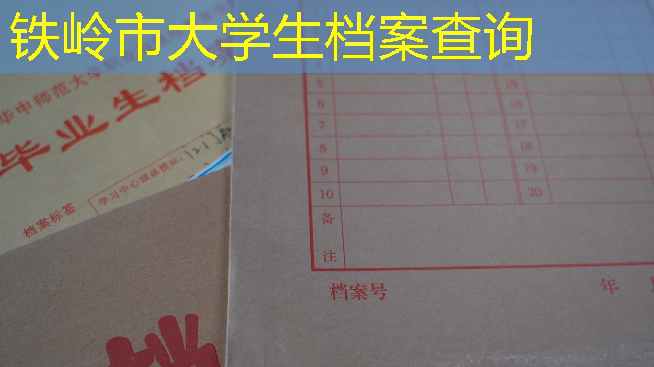 档案查询