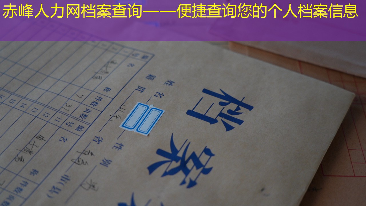 档案查询