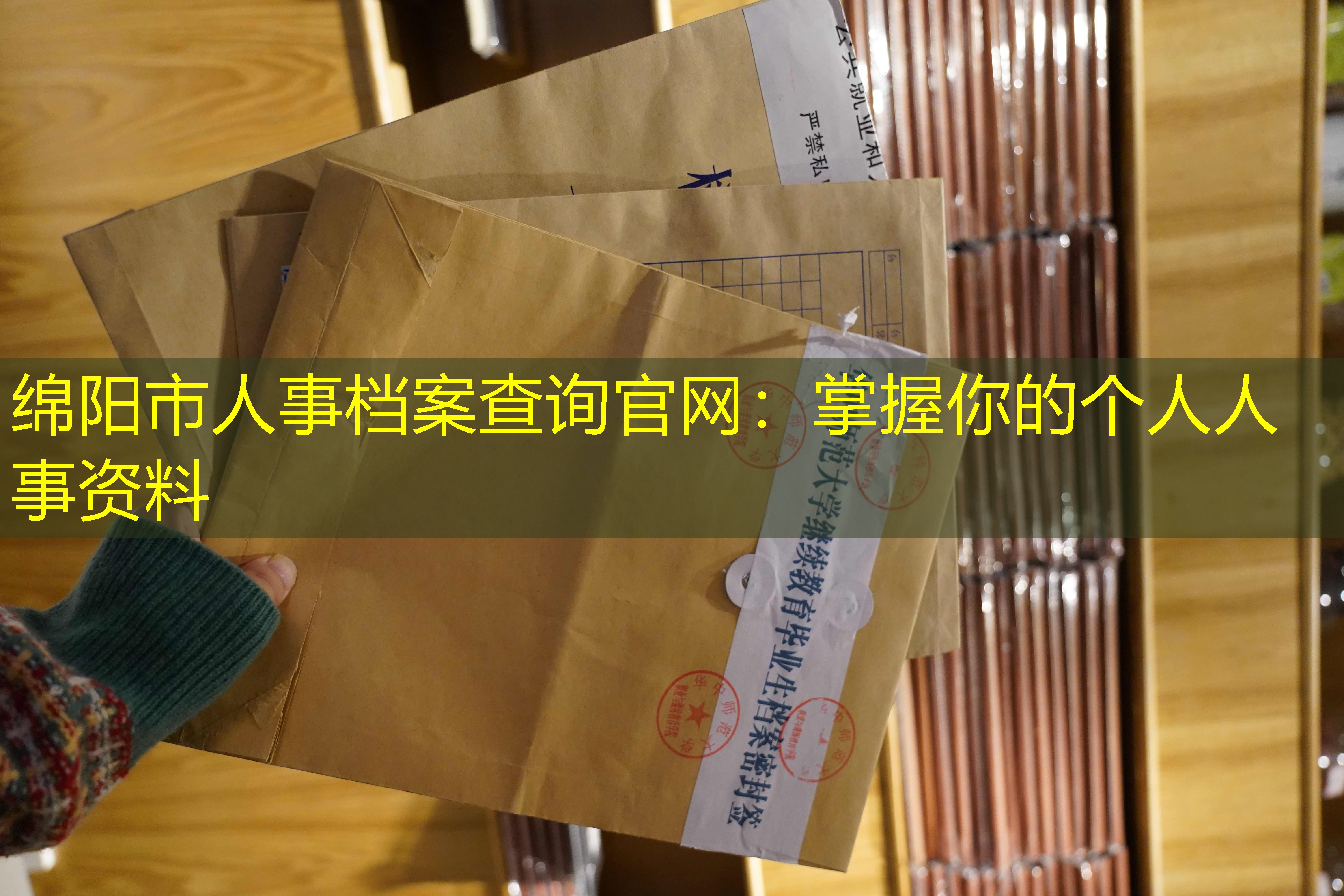 档案查询