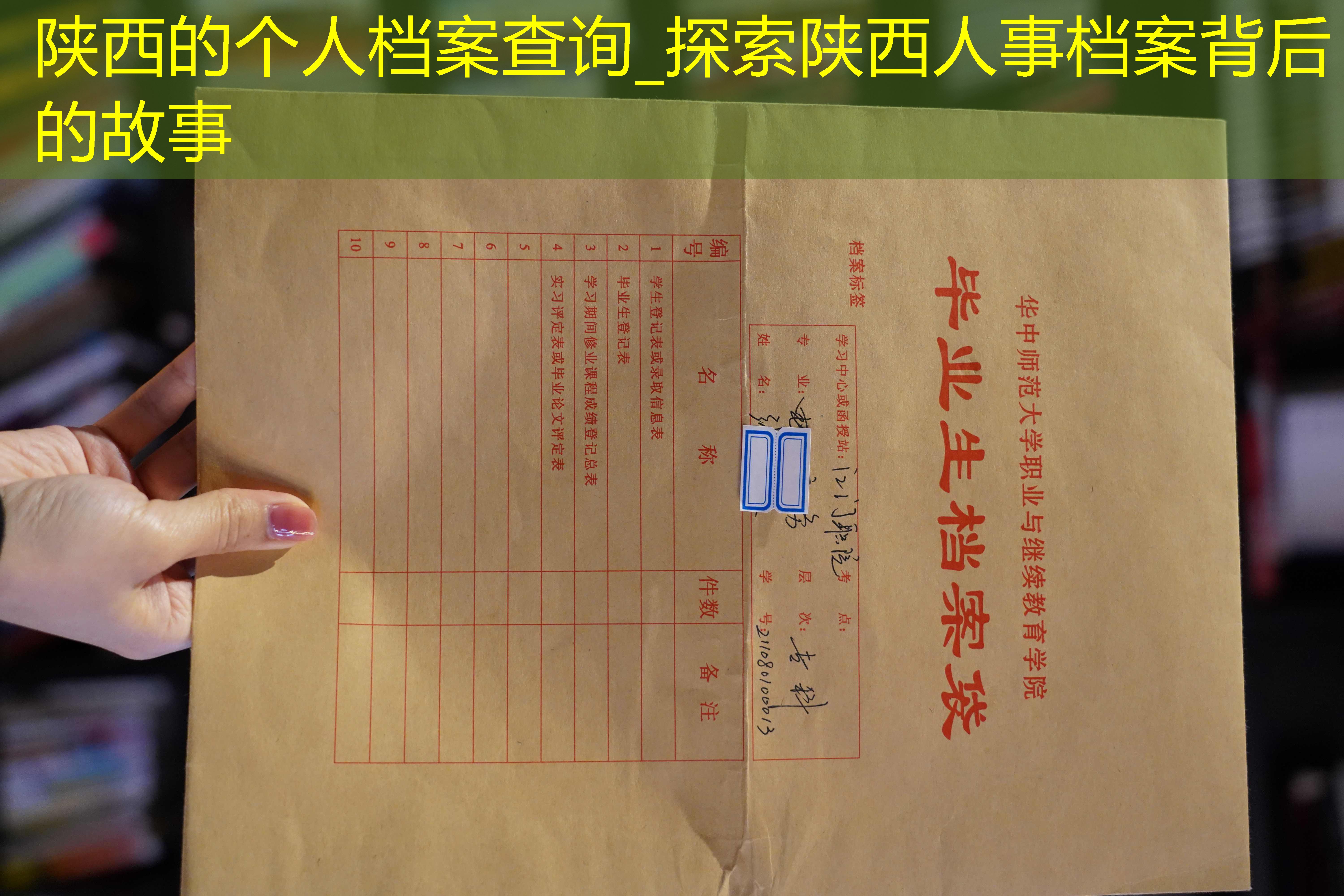 档案查询