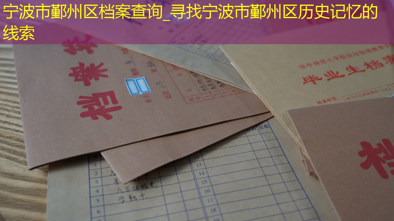 档案查询