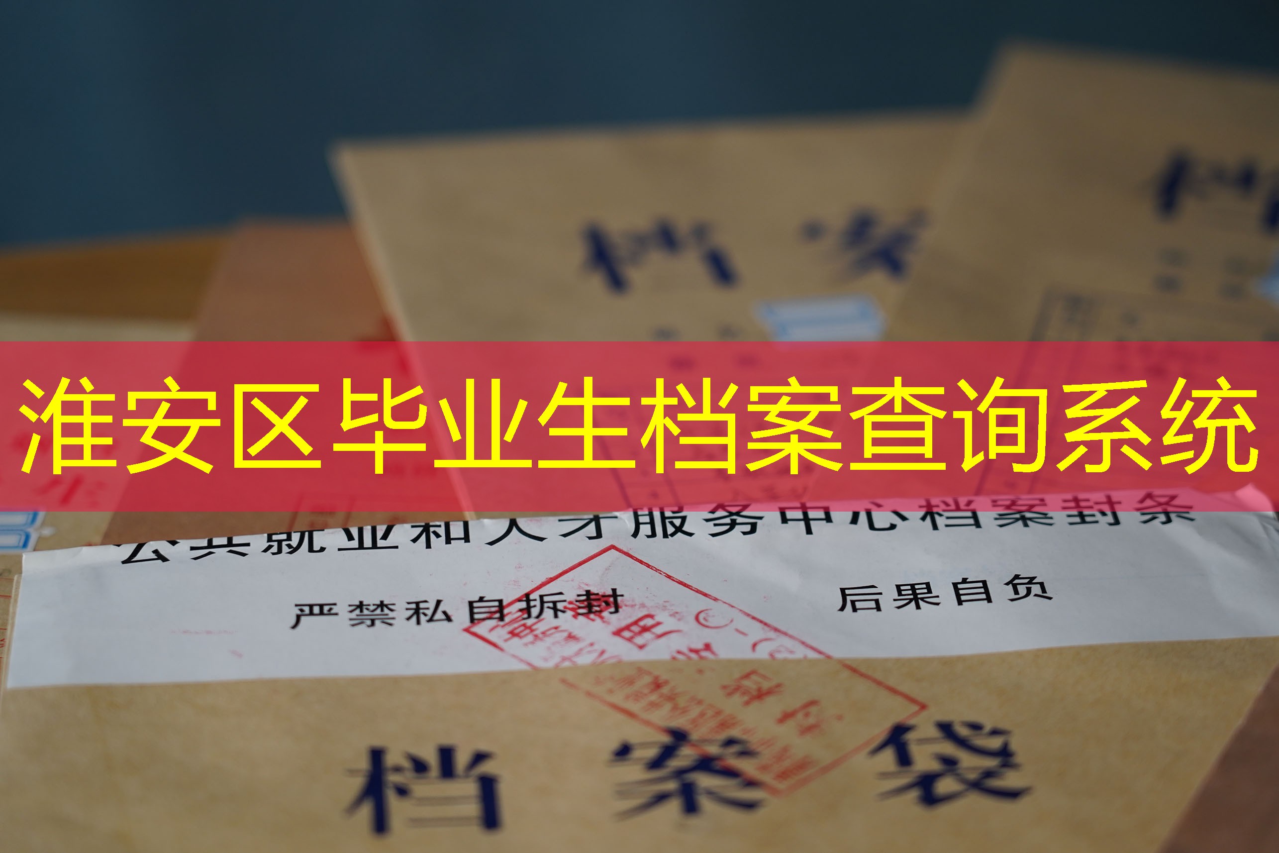 档案查询