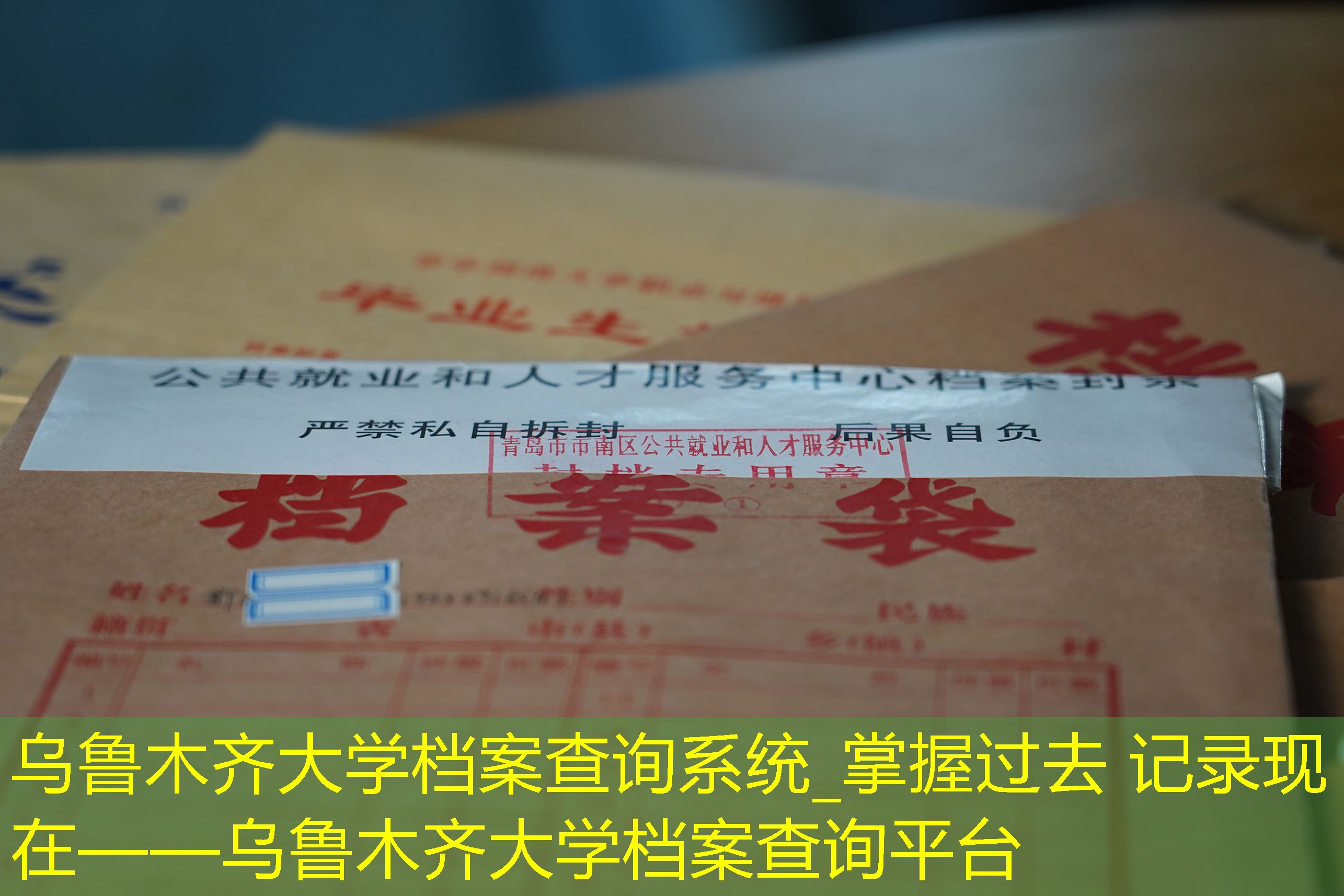 档案查询